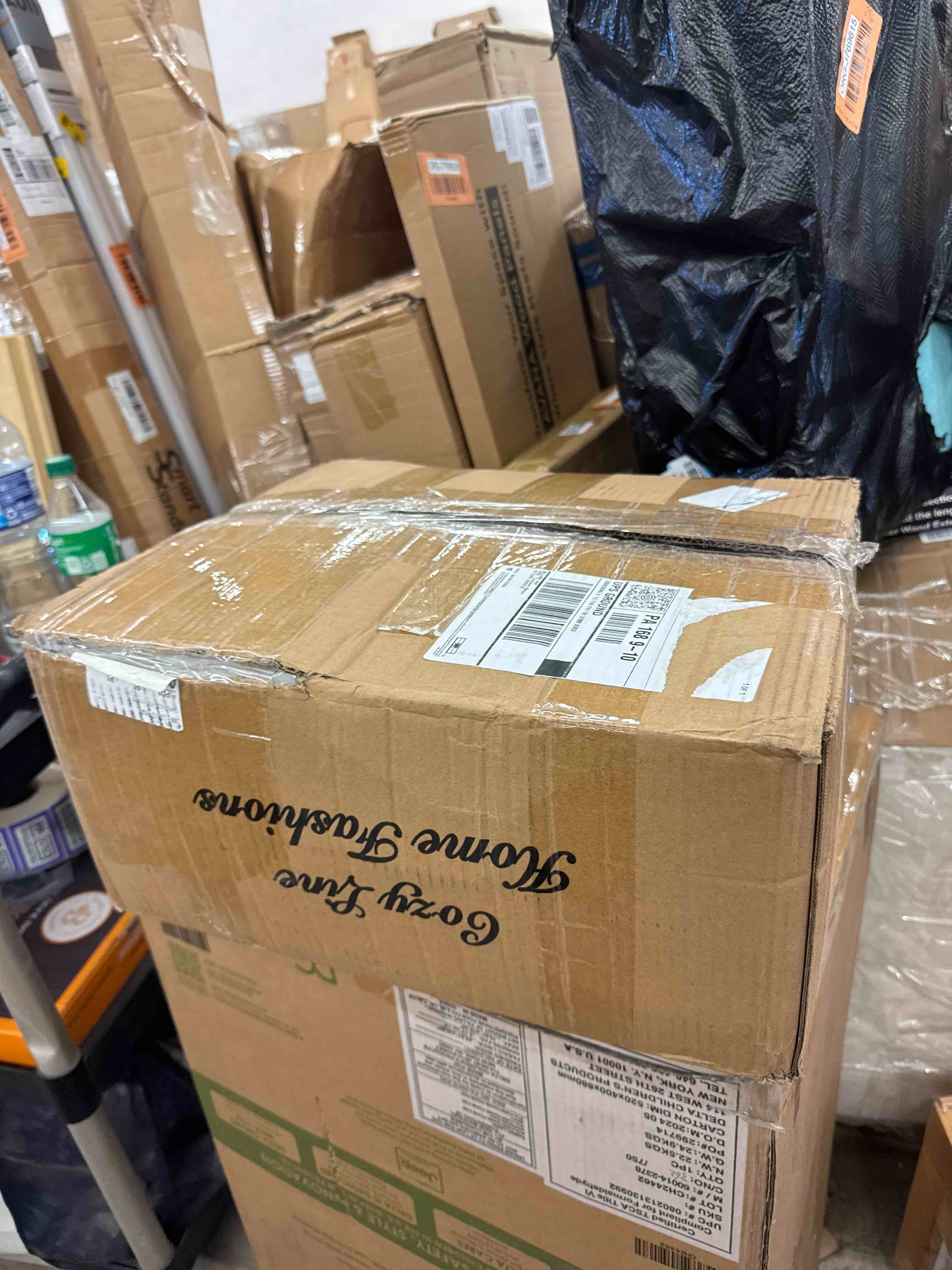 https://s3.amazonaws.com/lotting-images-prod/phillipi/GRA0397530_1732639058725.jpeg