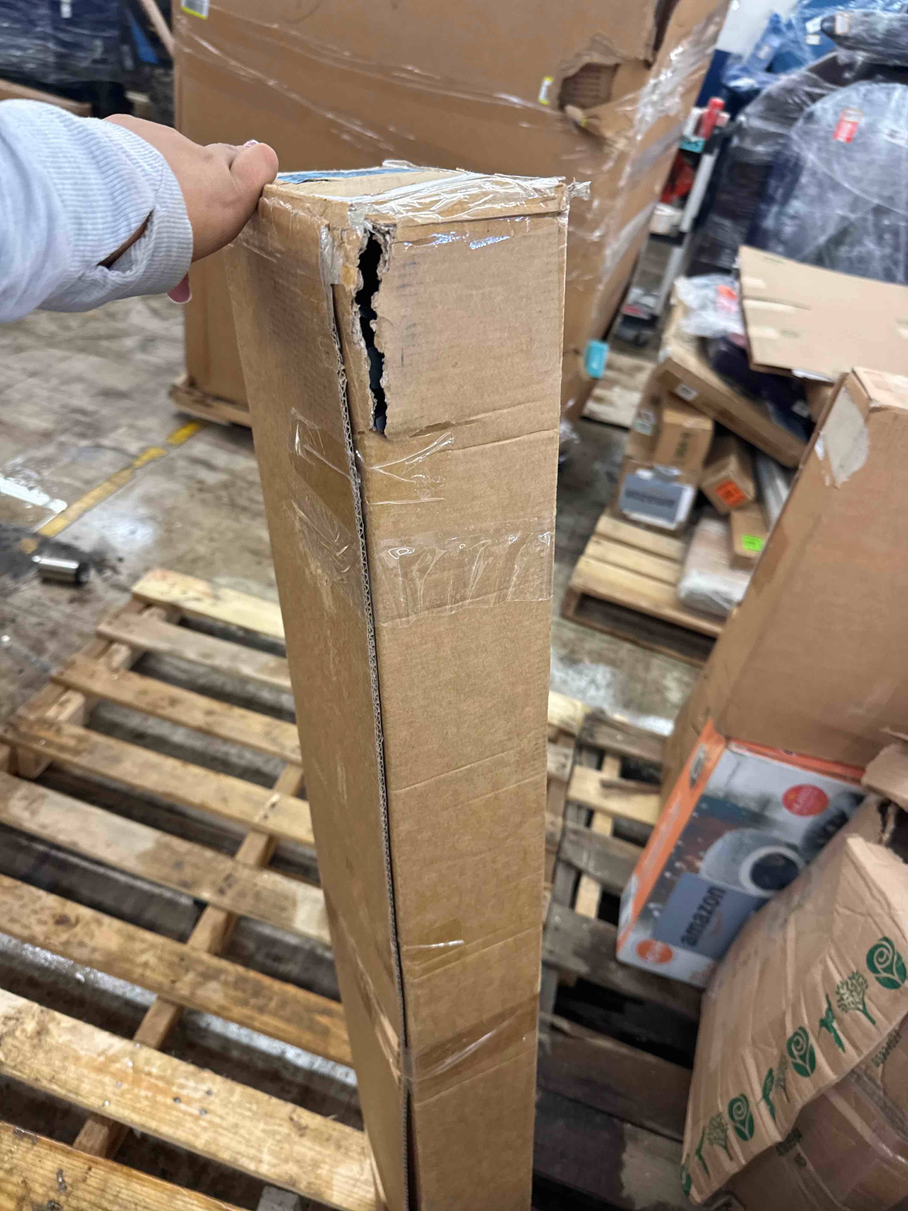 https://s3.amazonaws.com/lotting-images-prod/phillipi/GRA0397862_1731348966468.jpeg