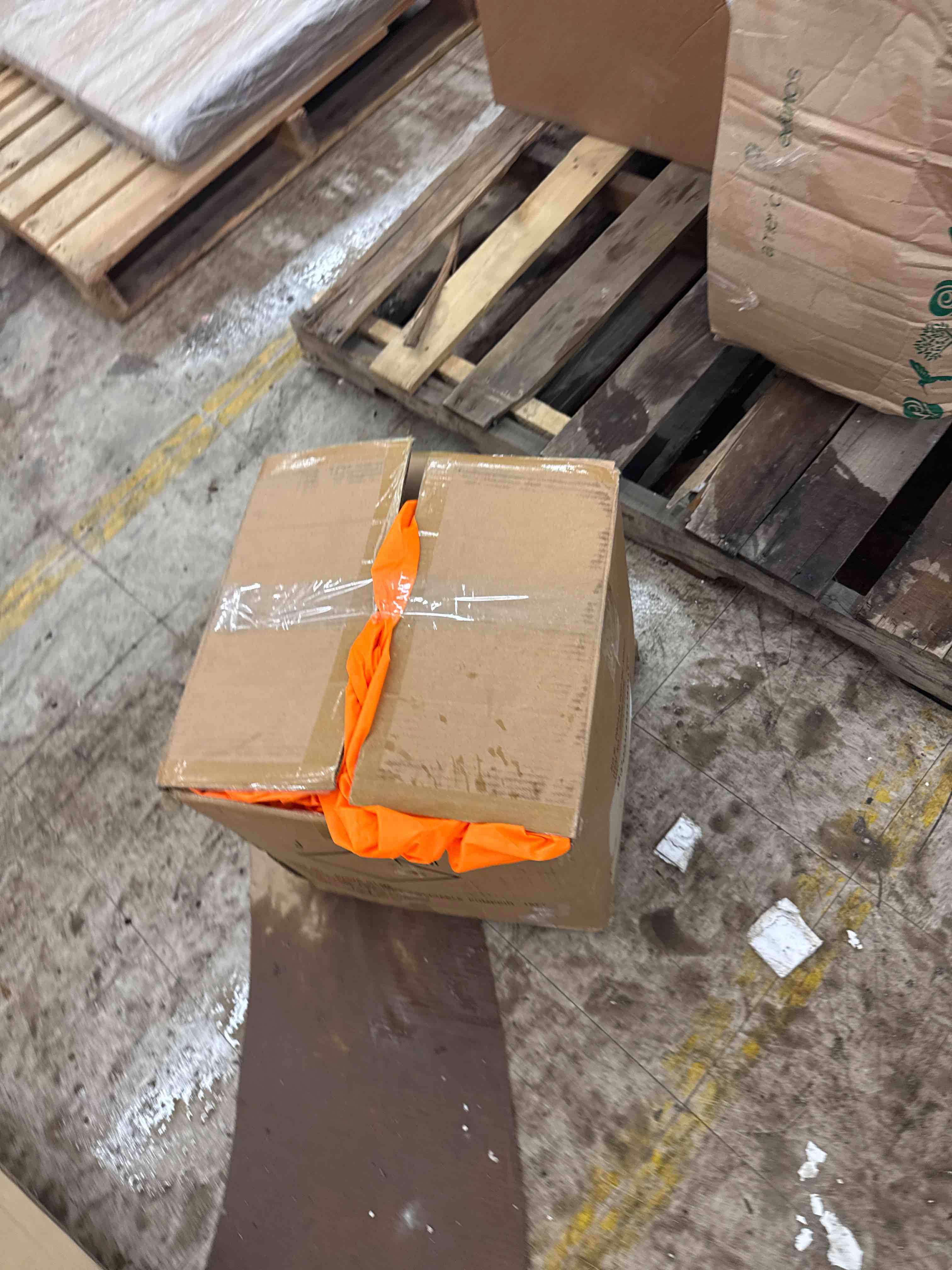 https://s3.amazonaws.com/lotting-images-prod/phillipi/GRA0397869_1731347630145.jpeg