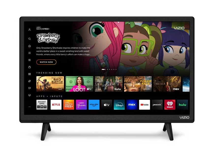 VIZIO D-Series 24" Class 1080p FHD Smart TV