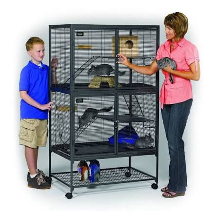 Condition photo showing New/Like New for midwest homes for pets critter nation double unit small animal cage, 4 tiers, includes pan, shelf, ramp & cover, for rats, ferrets, chinchillas, sugar gliders