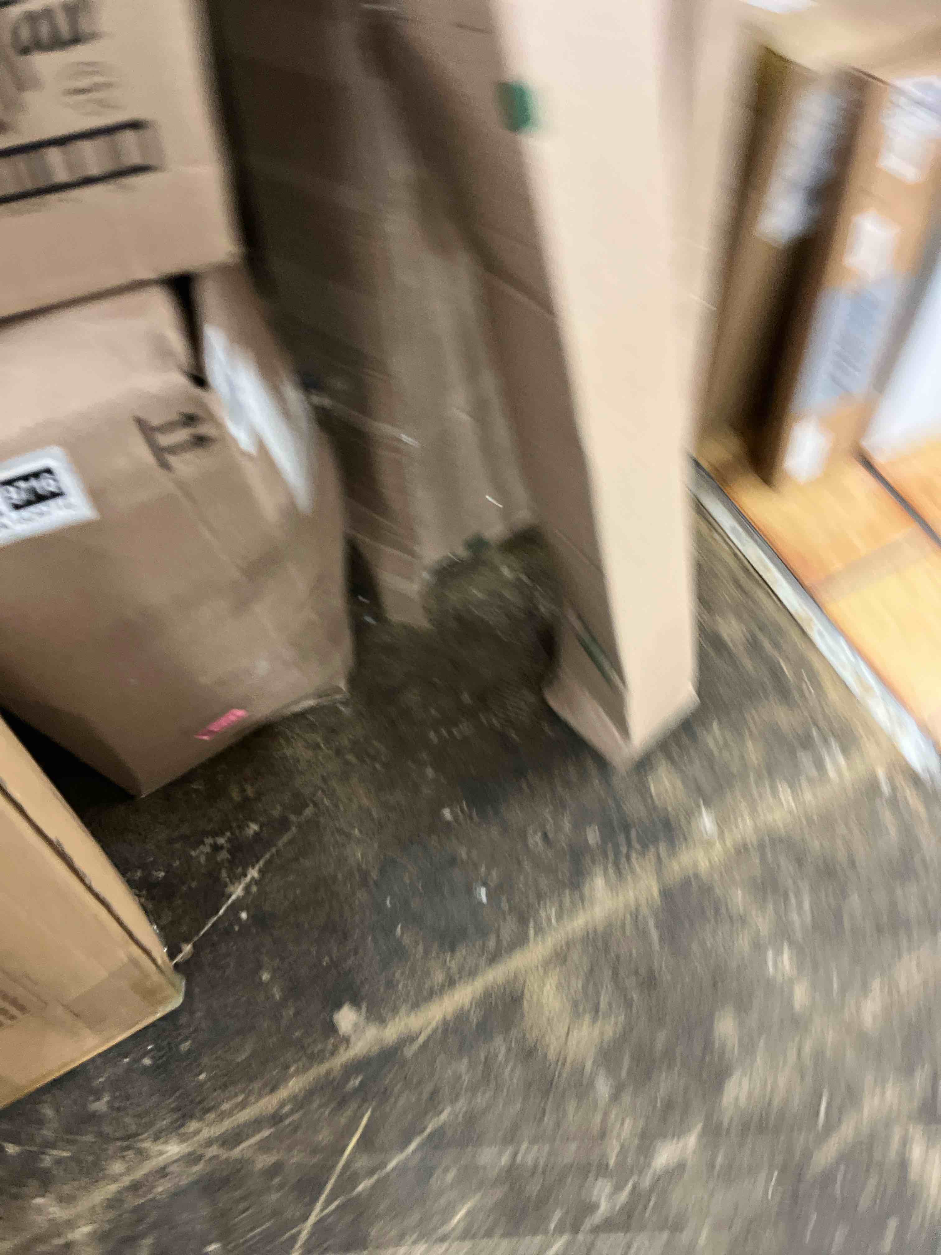https://s3.amazonaws.com/lotting-images-prod/phillipi/GRA1829668_1777644967233.jpeg