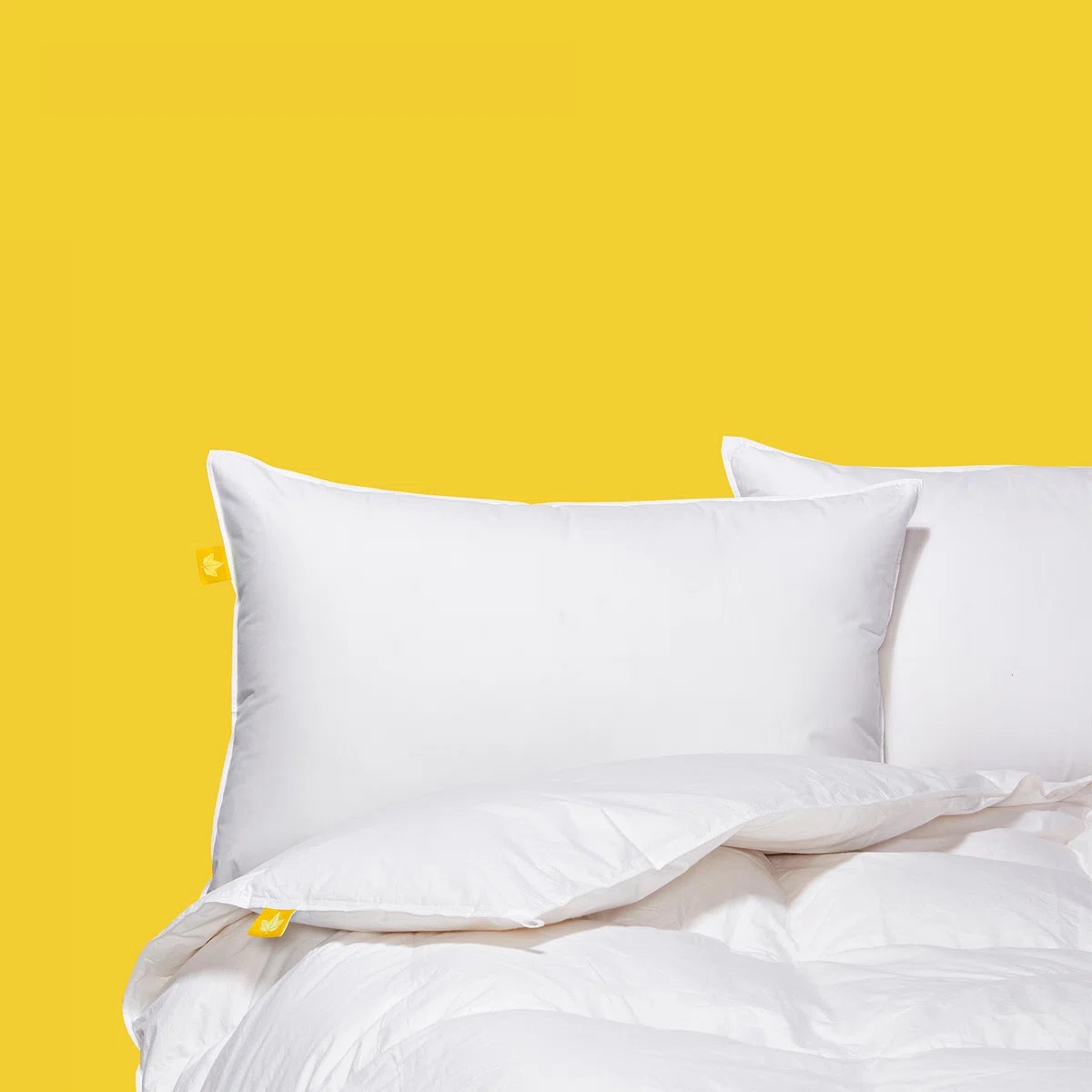 2 Pack White Duck Feather & Down Bed Pillow by BOKSER HOME