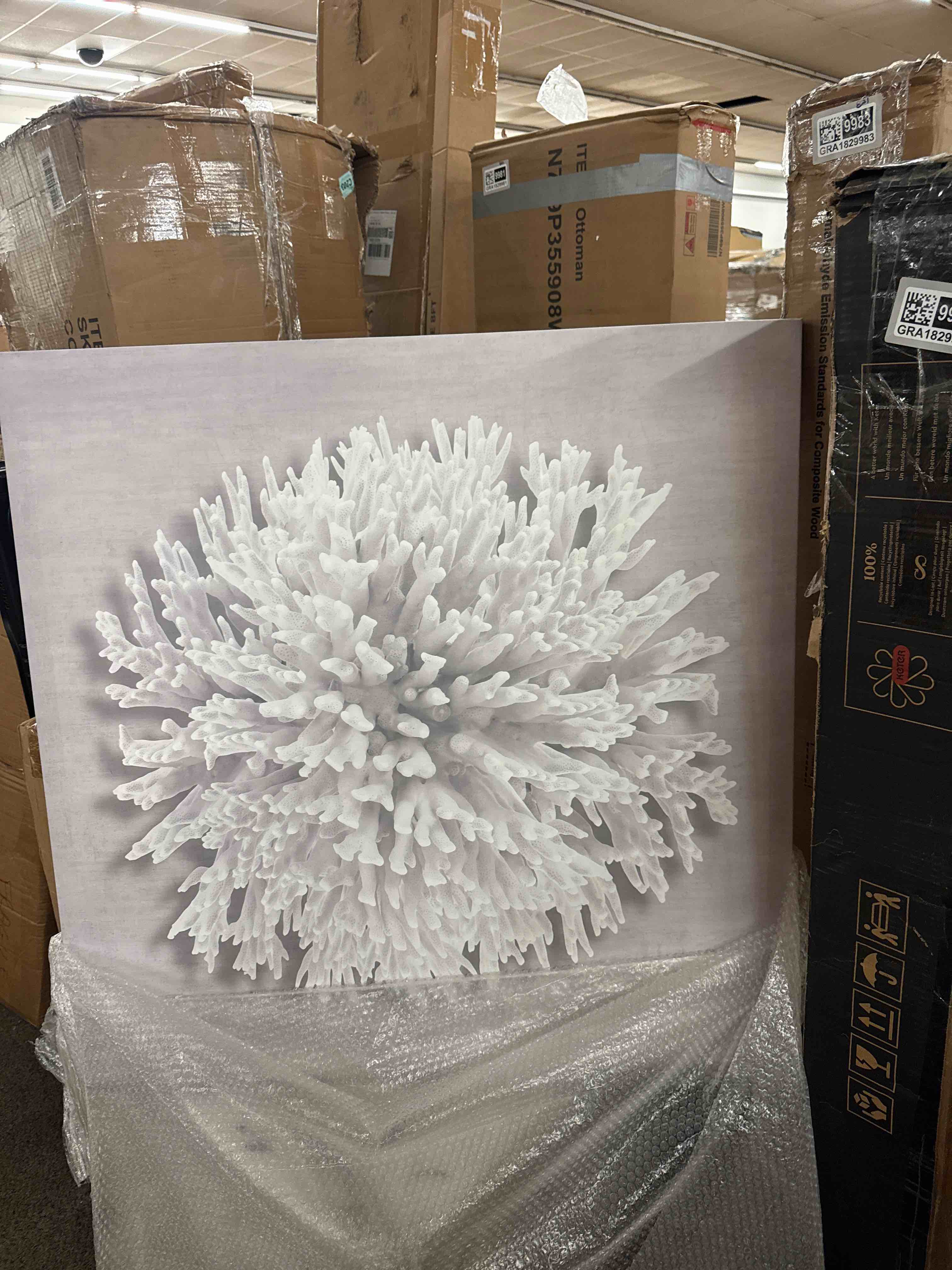 Condition photo showing New/Like New for " coral on gray i " by caroline kelly