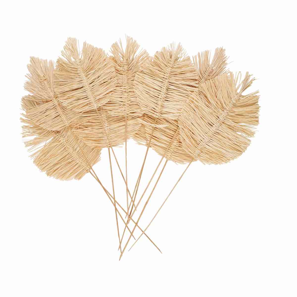 cole and grey dried plant tall spear natural foliage with sharp stems