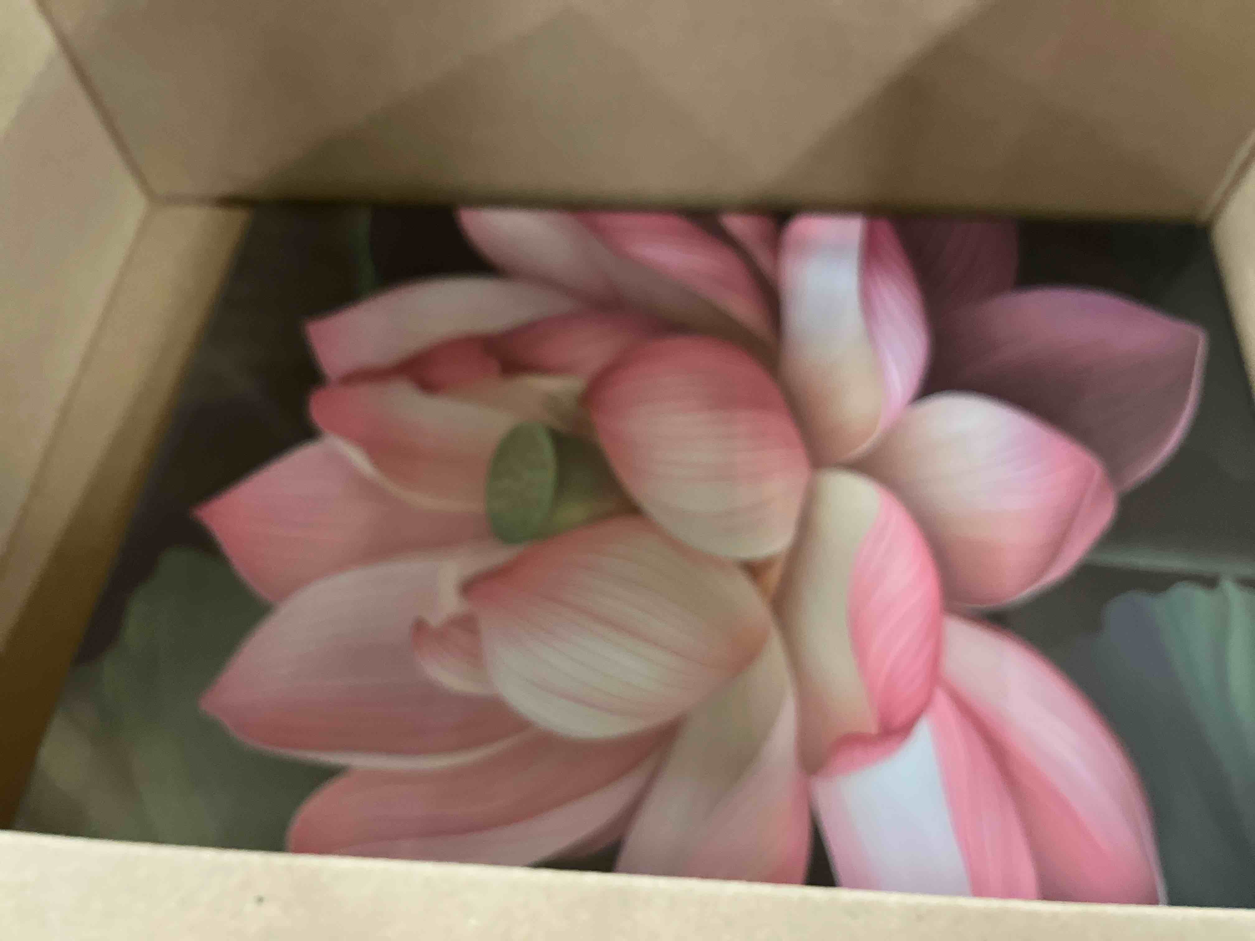 Condition photo showing New/Like New for OAAPITI Zen Canvas Wall Art Pink Lotus Picture Print Water Lily Bloom Art Painting Poster Meditation Spiritual Room Decor Artwork Frame(Artwork-1,16"x24")