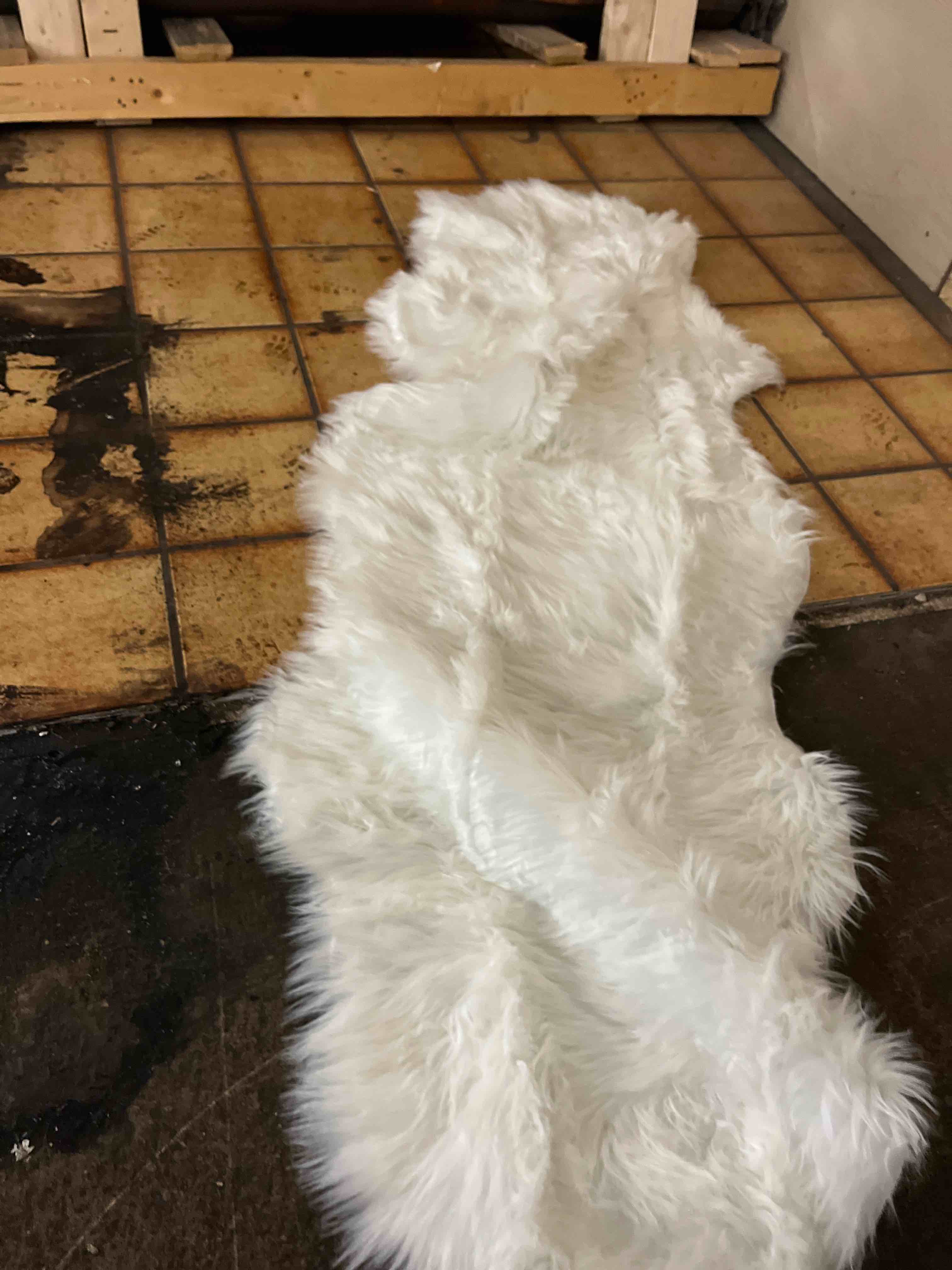 Condition photo showing Good Condition for Faux Fur Rug for Bedroom, Fluffy Runner Rugs Soft Sheepskin Rug Sofa Couch Seat Cushion, 2x6ft White Plush Area Rug Shag Rugs Floor Carpets for Nursery Bedside, Cute Shaggy Fuzzy Home Decor