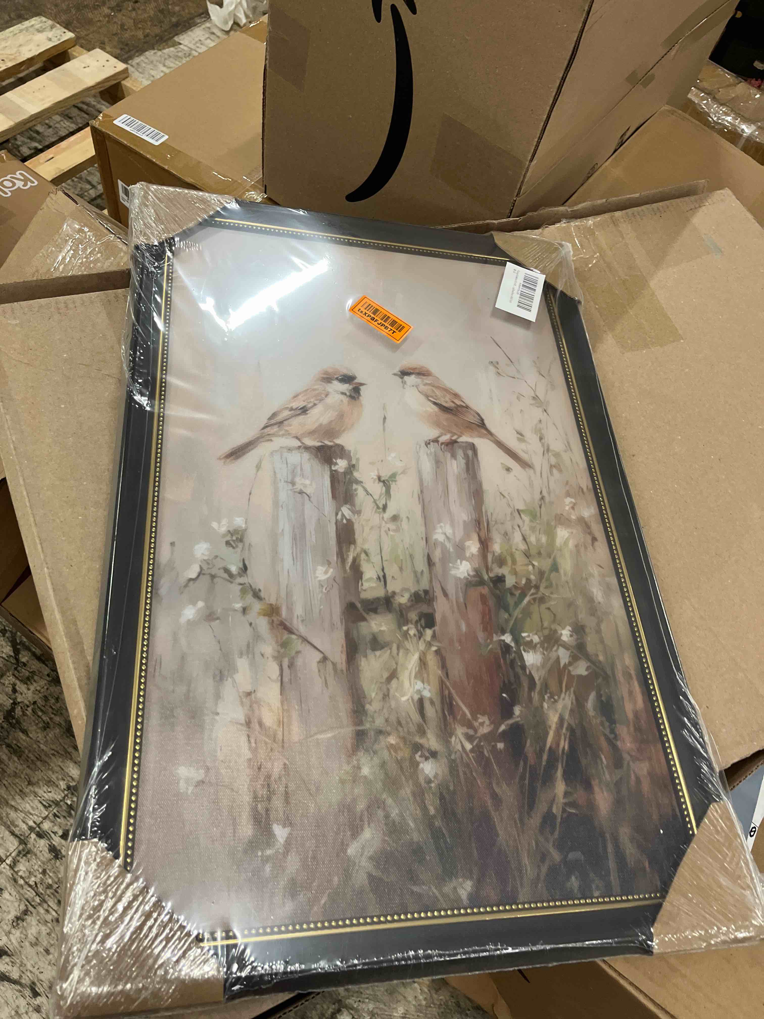 Condition photo showing New/Like New for vintage farmhouse bird wall art framed sparrow wall decor rustic kingfisher oli posters prints farmhouse cottagecore painting pictures for home living room decor 16x24 inch