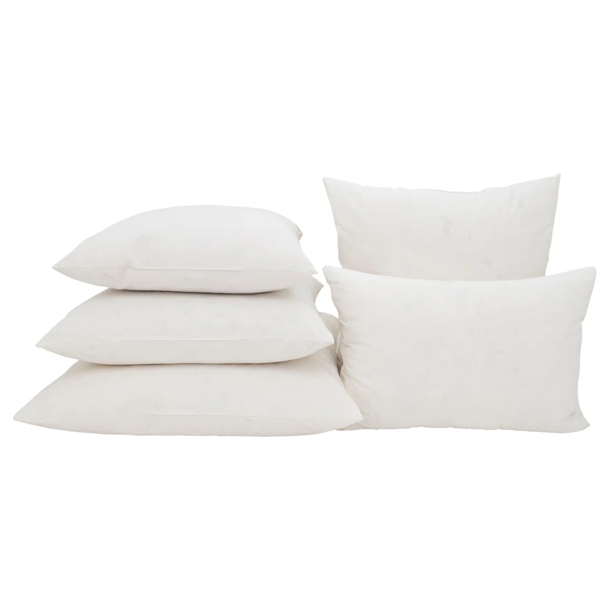 Condition photo showing New/Like New for lumbar pillow insert 