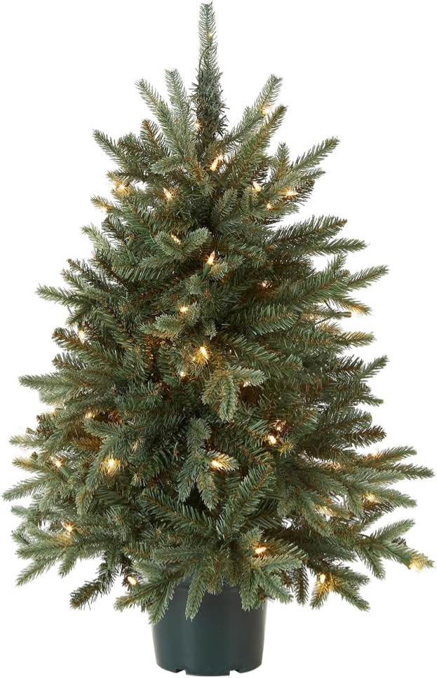 national tree company 3' everyday collections small tree in green pot with 100 clear lights