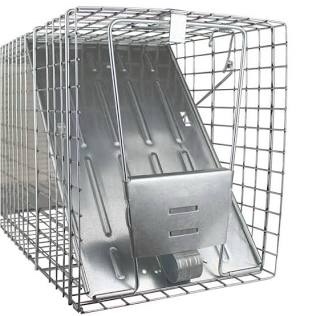 HAVAHART 1079SR Large 1-Door Humane Catch and Release Live Animal Trap Cage - Live Raccoon Trap, for Bobcats, Beavers, Dogs, & More