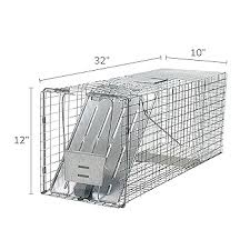 https://s3.amazonaws.com/lotting-images-prod/phillipi/GRA1889221_1757023699267.jpeg