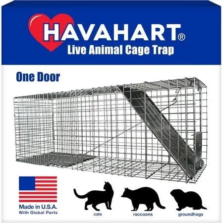 https://s3.amazonaws.com/lotting-images-prod/phillipi/GRA1889221_1757023704574.jpeg