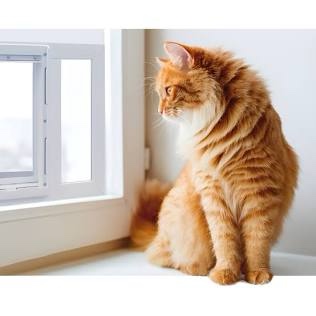 Ideal Pet Products Aluminum Sash ChubbyKat Flap Pet Door Medium White 1.25  x 27  x 15.06