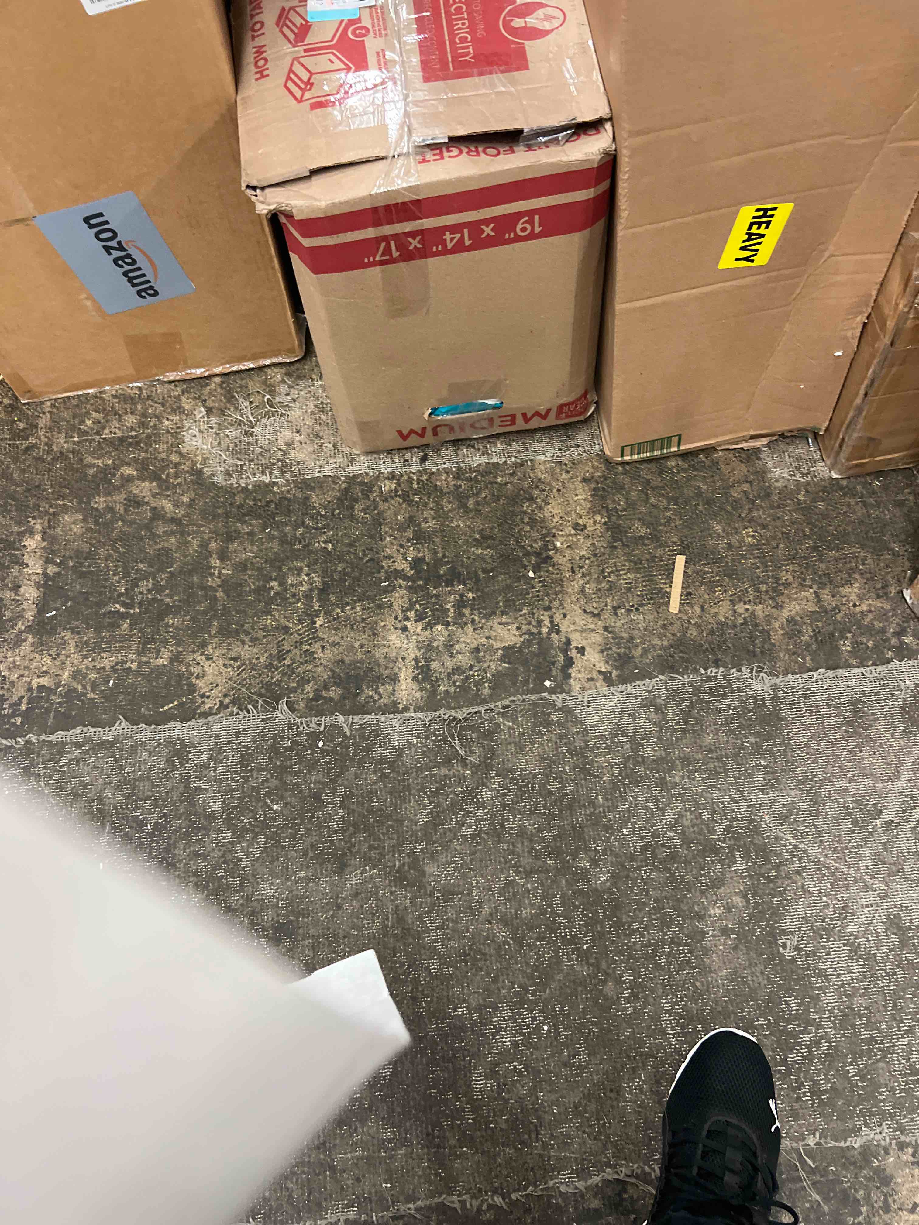 https://s3.amazonaws.com/lotting-images-prod/phillipi/GRA1902303_1757301652080.jpeg