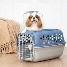 vibrant life double door dog kennel with top opening multicolor 24 in