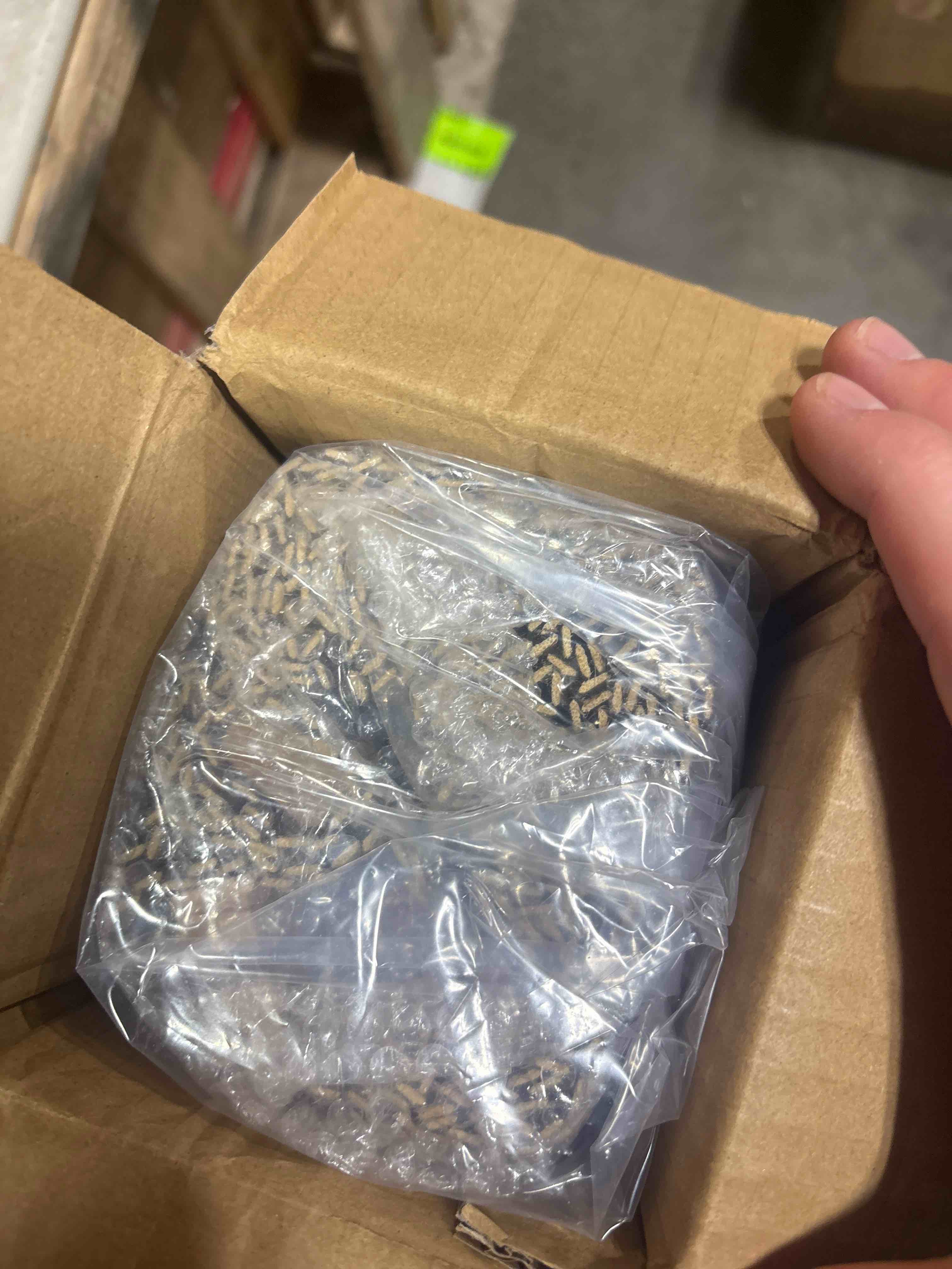 https://s3.amazonaws.com/lotting-images-prod/phillipi/GRA2153788_1758290324427.jpeg