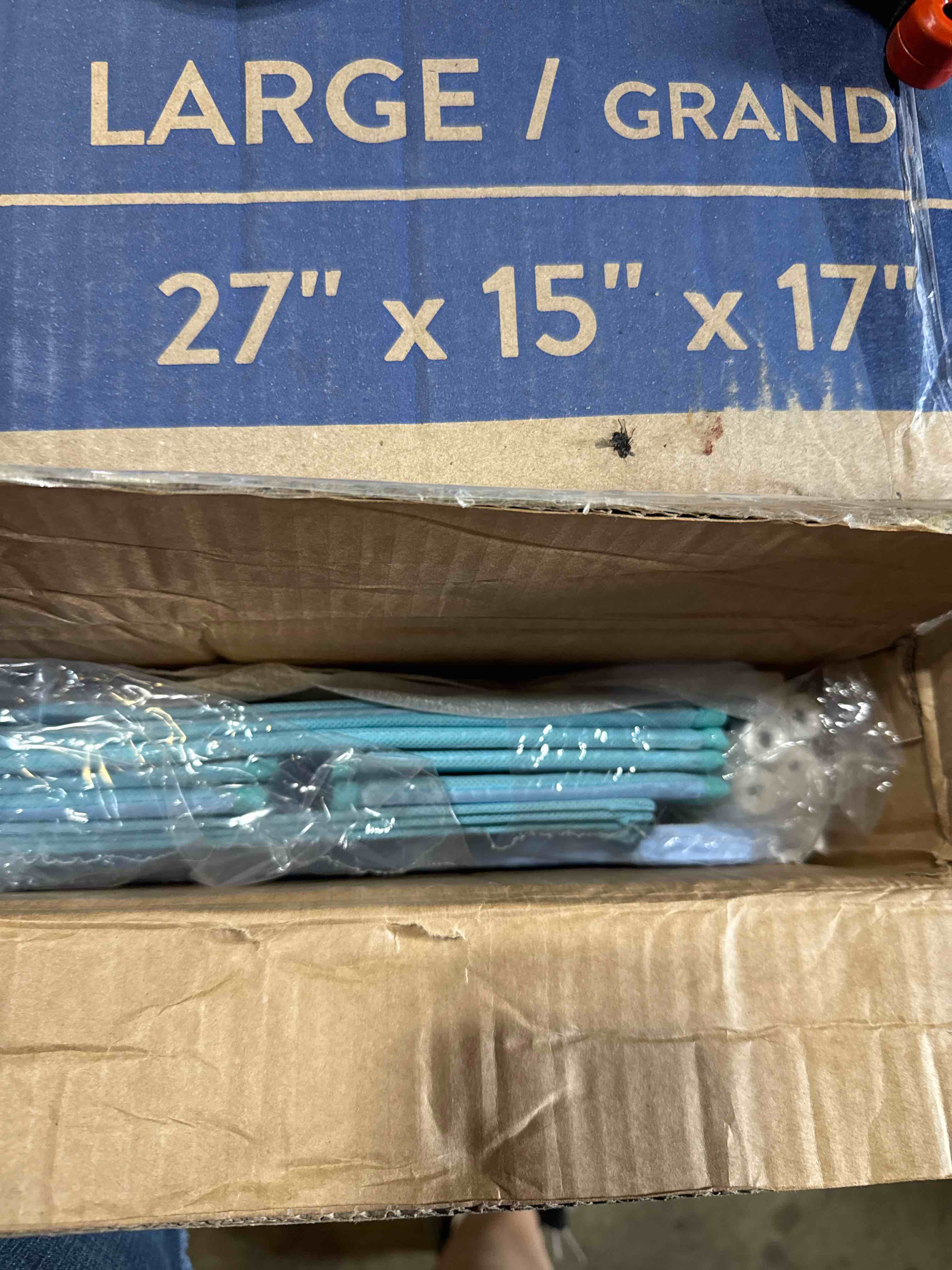 https://s3.amazonaws.com/lotting-images-prod/phillipi/GRA2153825_1758299146502.jpeg