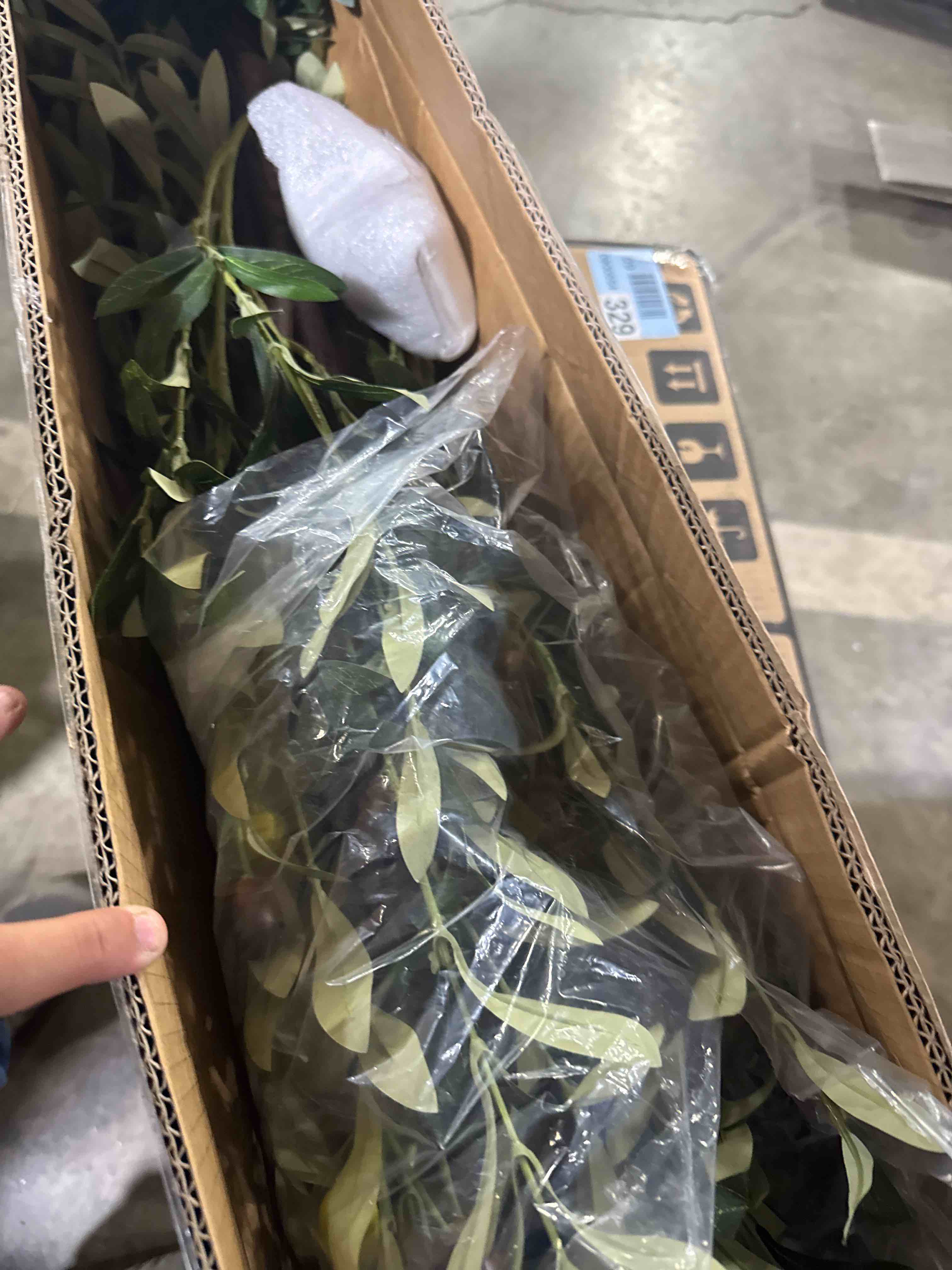 https://s3.amazonaws.com/lotting-images-prod/phillipi/GRA2153908_1758549459836.jpeg