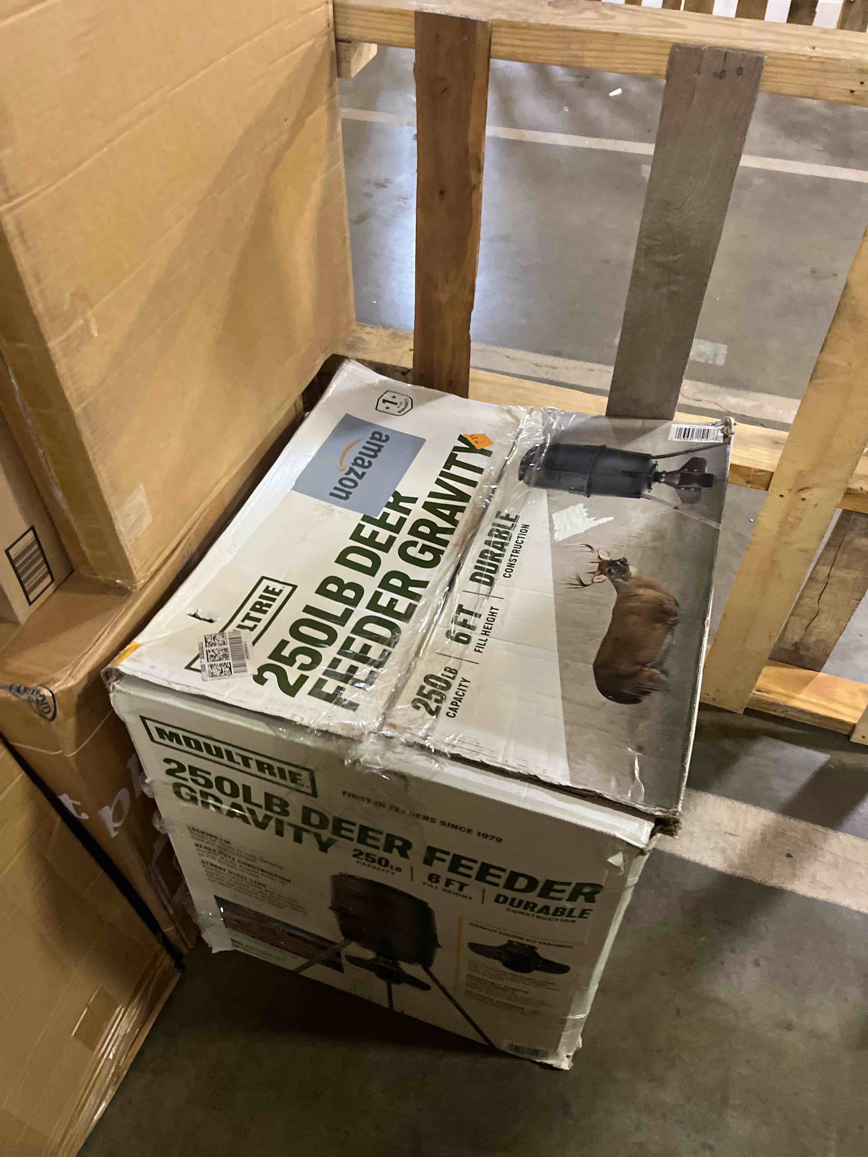 https://s3.amazonaws.com/lotting-images-prod/phillipi/GRA2156215_1756831467098.jpeg