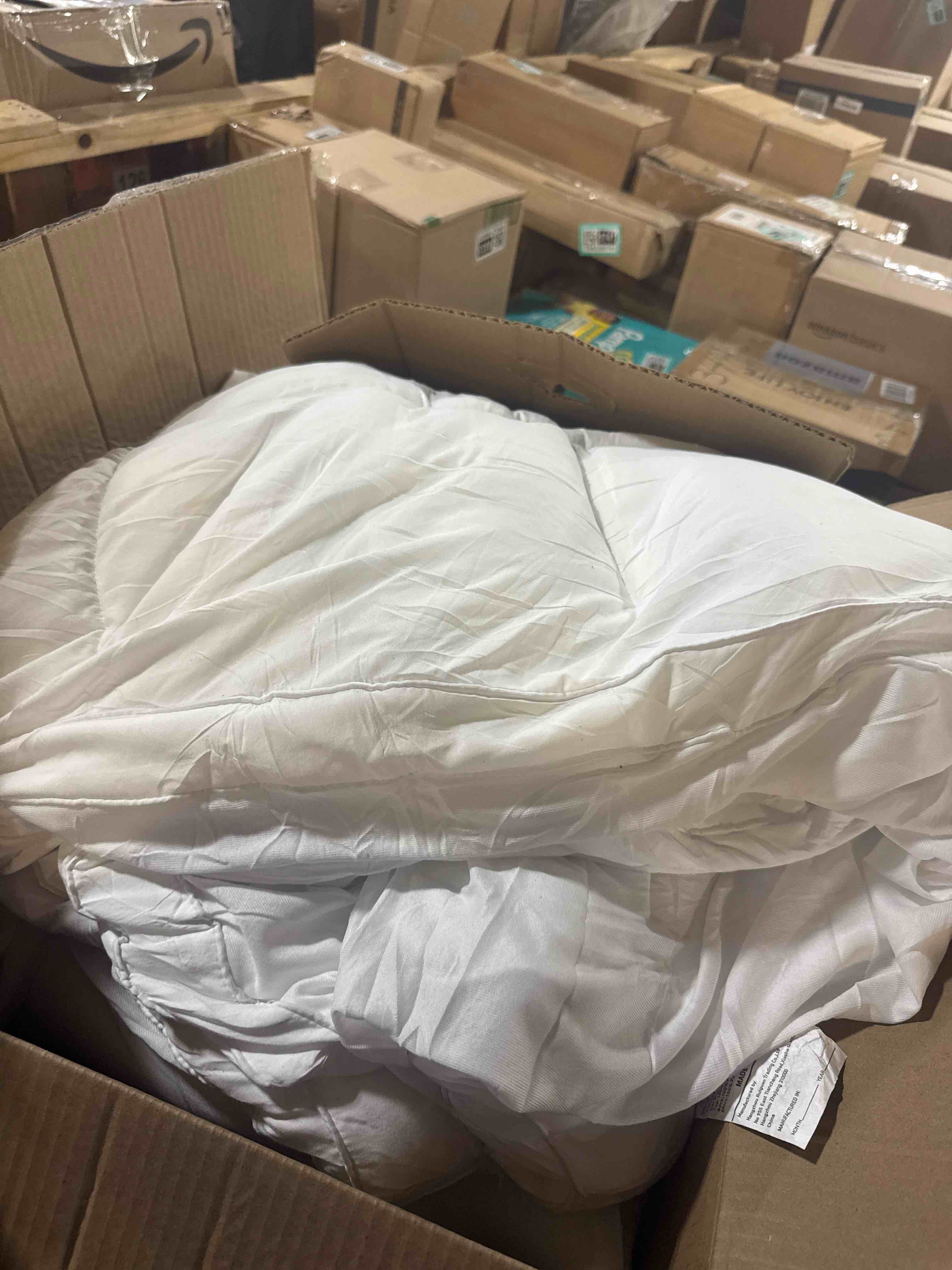 https://s3.amazonaws.com/lotting-images-prod/phillipi/GRA2156936_1760454861346.jpeg