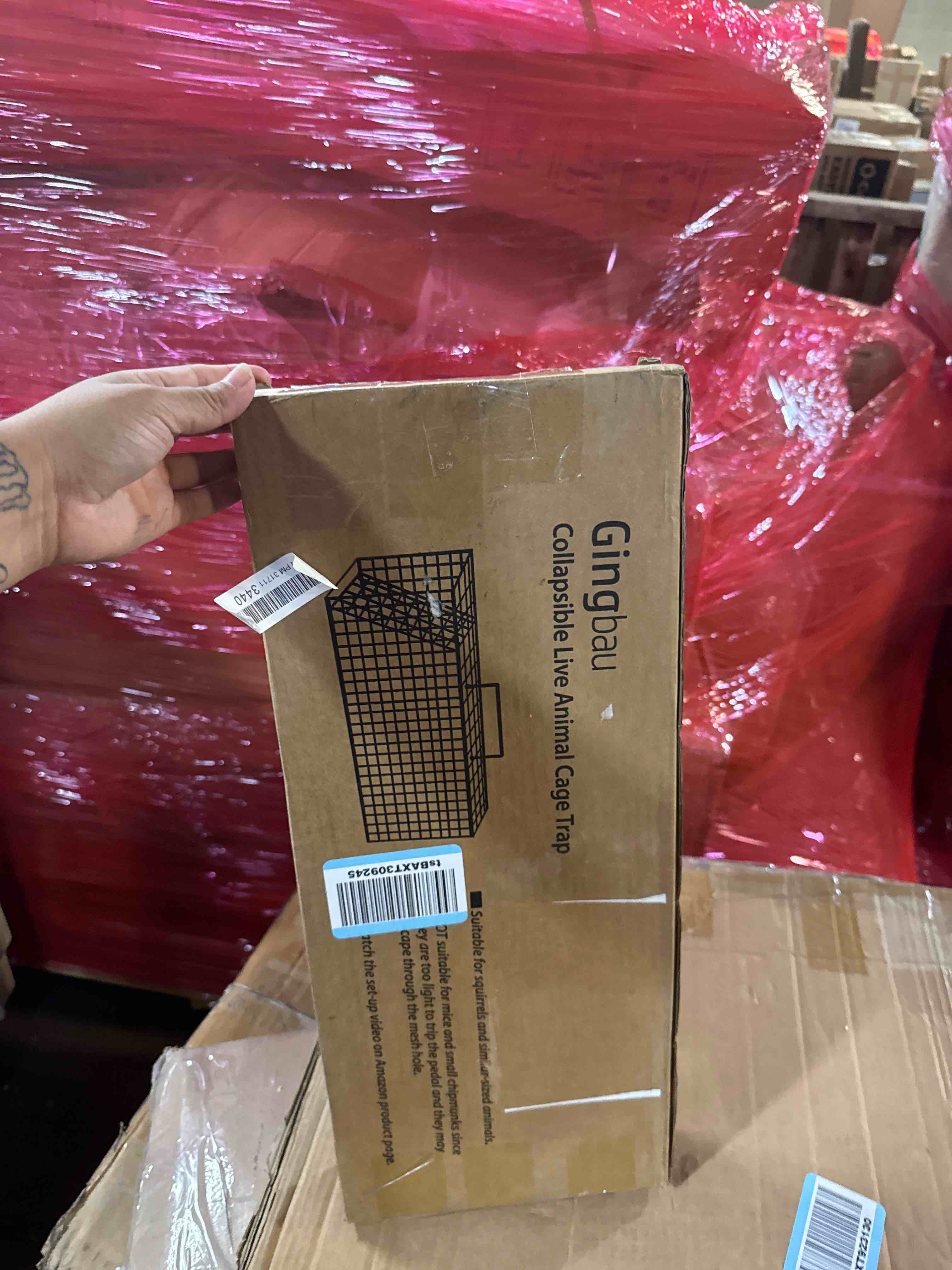 https://s3.amazonaws.com/lotting-images-prod/phillipi/GRA2157066_1760637256095.jpeg