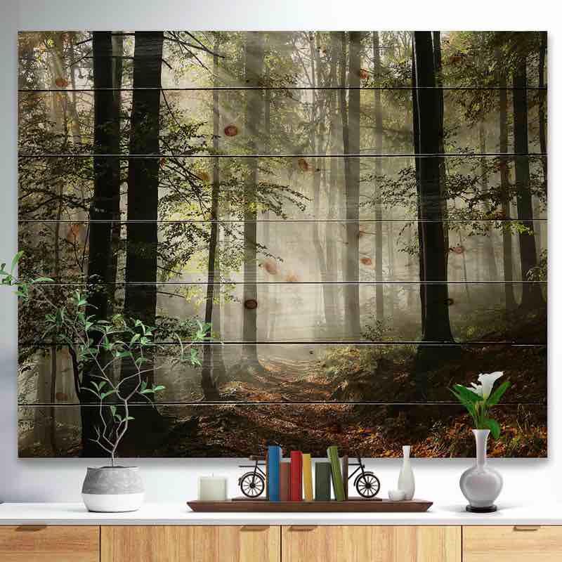 Light In Dense Fall Forest With Fog Artwork