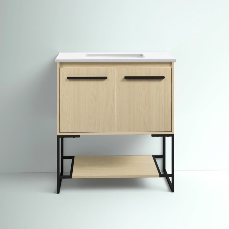 Rozell 30" Single Bathroom Vanity Set