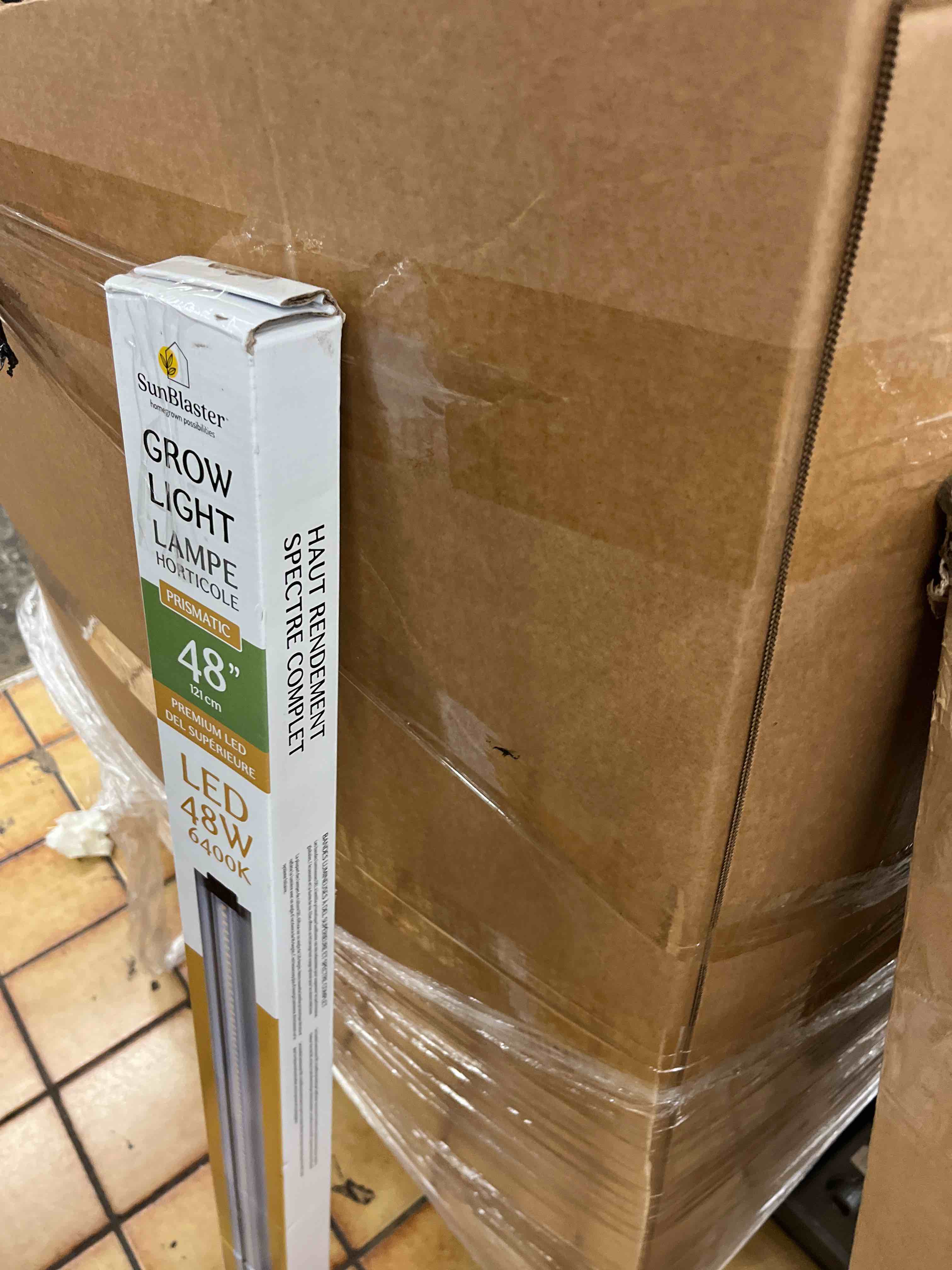https://s3.amazonaws.com/lotting-images-prod/phillipi/GRA2162333_1758124149260.jpeg