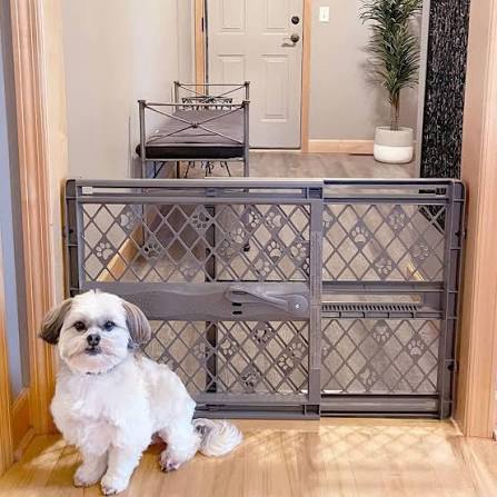 MYPET North States 40'' Paws Portable Pet Gate: Made in USA, Expands & Locks in Place with No Tools. Pressure Mount. Fits 26"-40" wide (23" Tall, Fieldstone) (B095XD61JX)