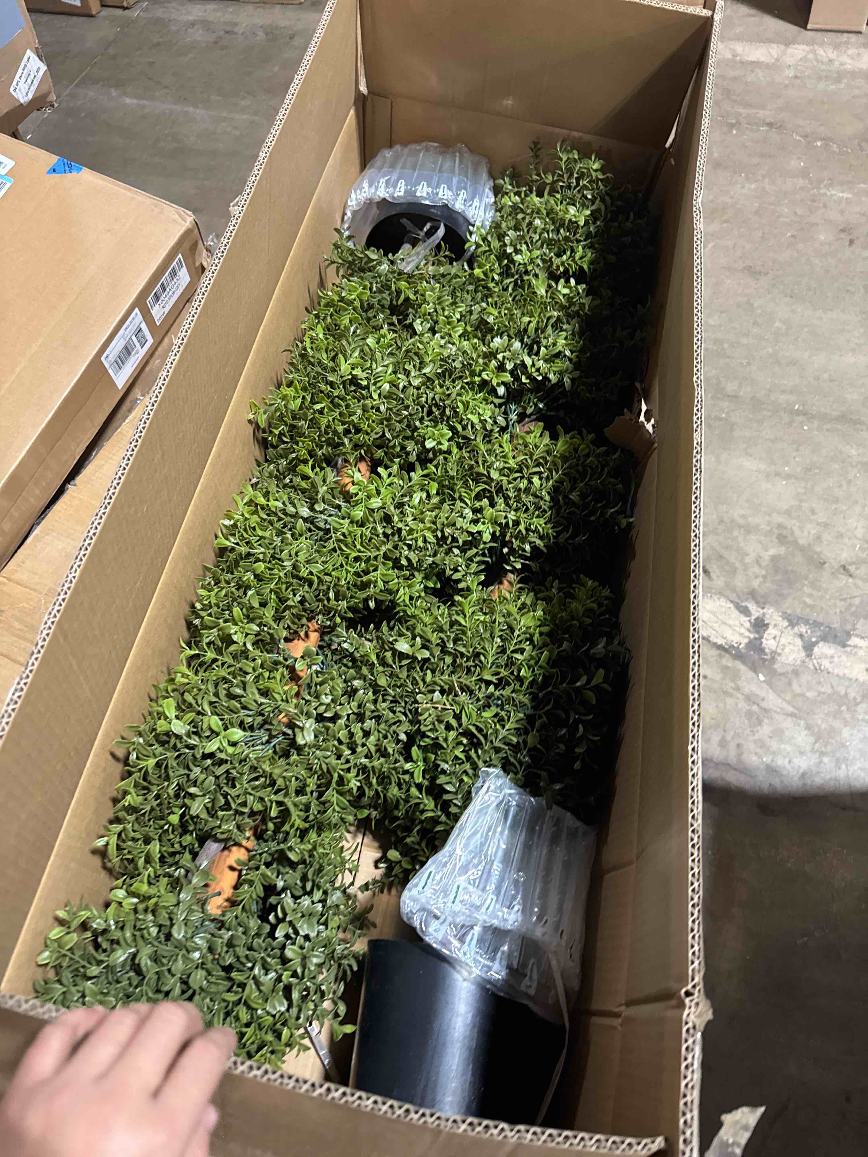 Condition photo showing New/Like New for Artificial Boxwood Spiral Topiary Tree - Realistic Outdoor Topiary Trees for Front Porch Decor, Durable Artificial Plants Outdoor, Low-Maintenance Boxwood Topiary for Year-Round Greenery 2