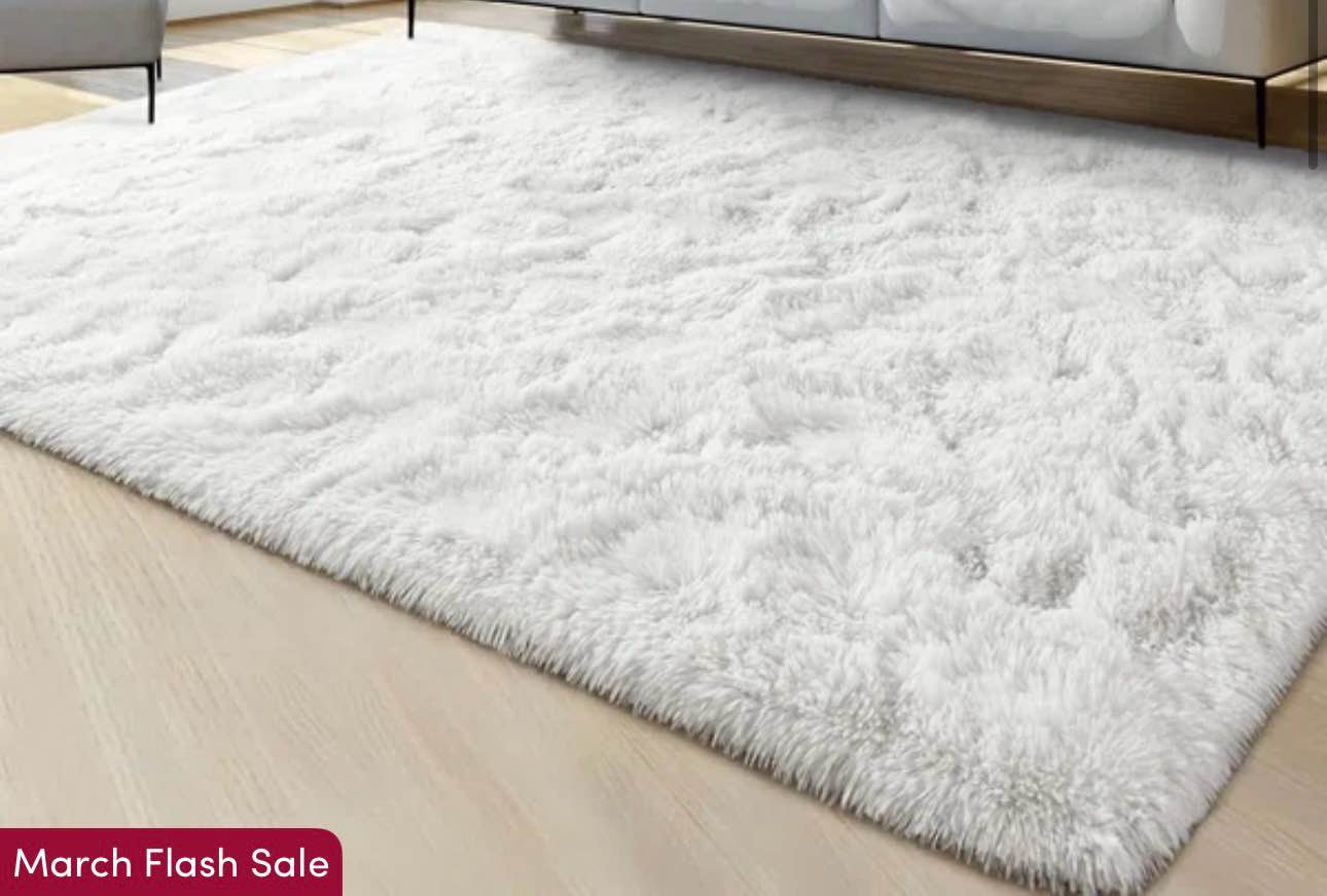 shahen indoor rug 4' x 6'