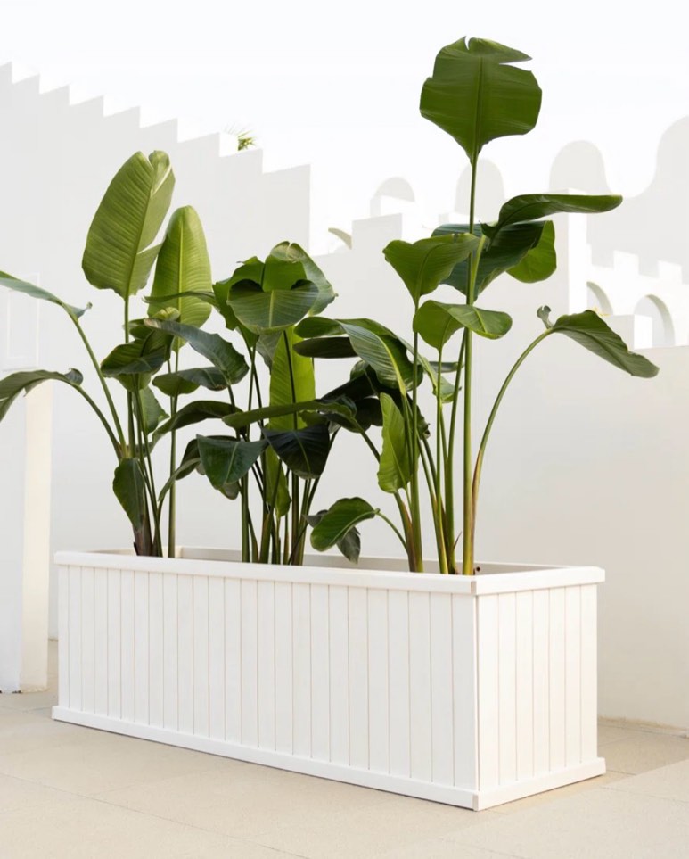 Big High, Bid Fast, While the Savings Last!   (Row 5)