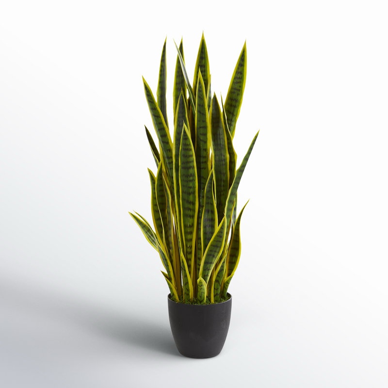 38'' Faux Snake Plant (Sansevieria) Plant in Planter