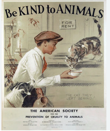 “ Be Kind To Animals” ( 14 x 11) Canvas