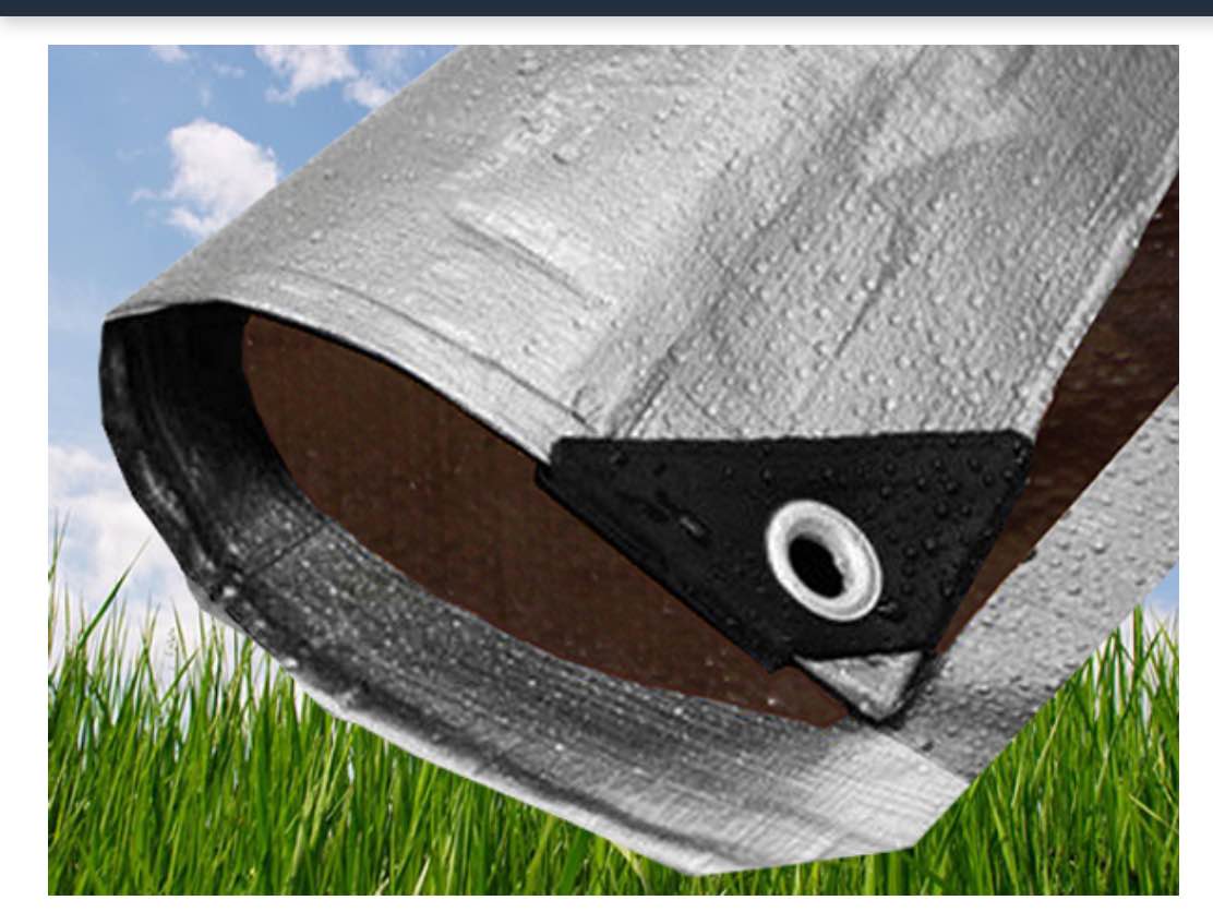 Simply the Best!  (Row 6)