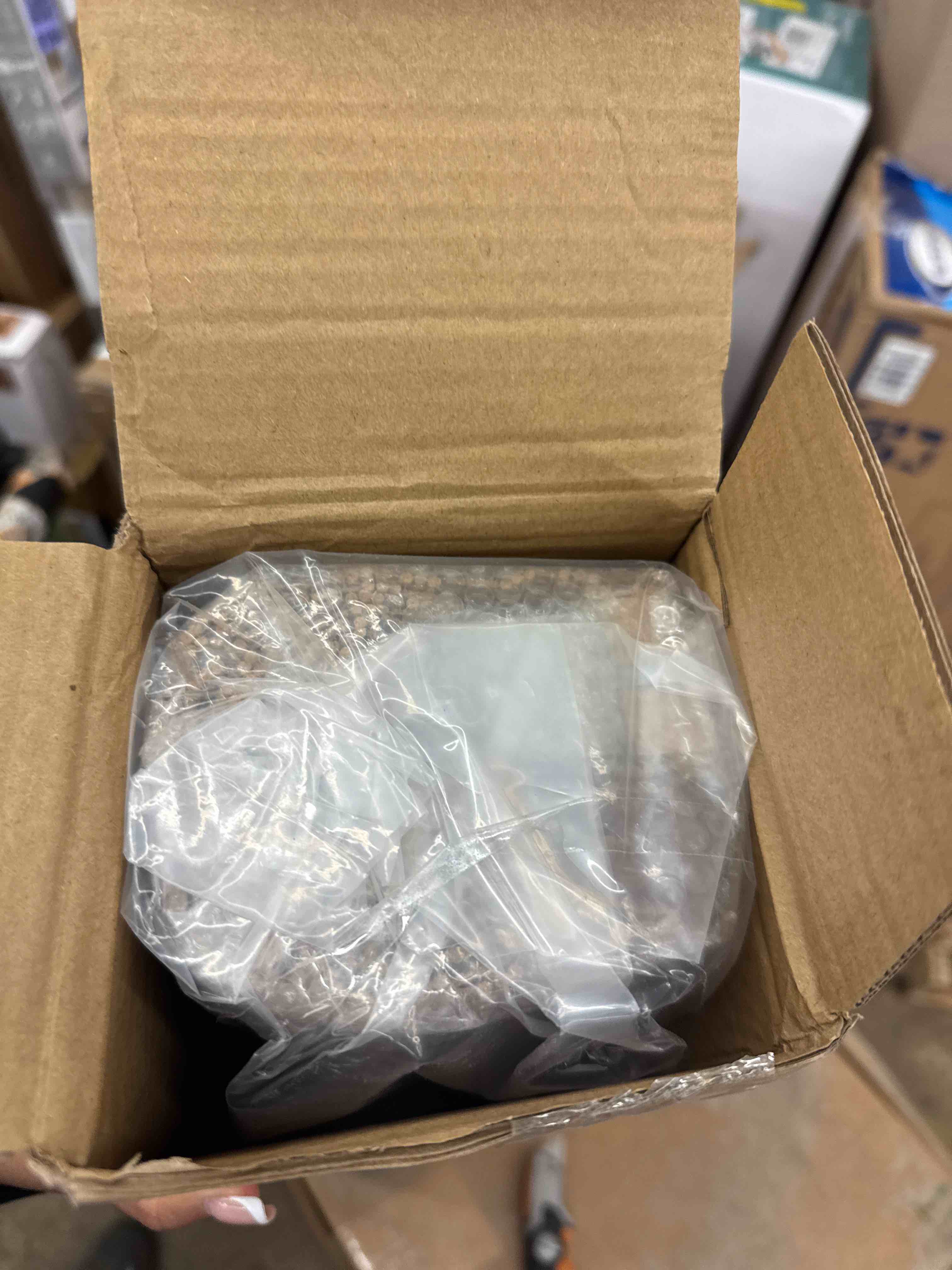 https://s3.amazonaws.com/lotting-images-prod/phillipi/GRA2175513_1746625397031.jpeg