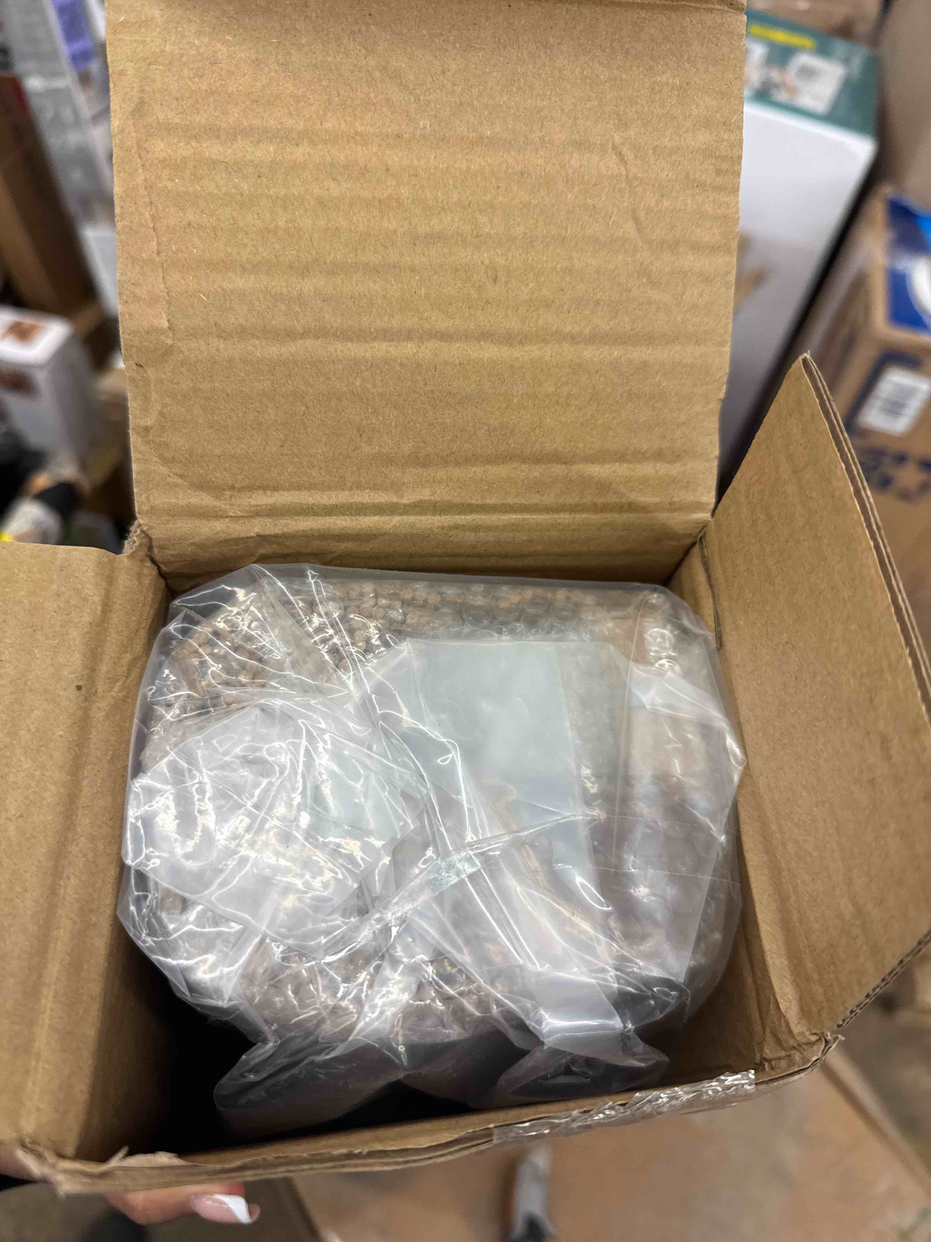https://s3.amazonaws.com/lotting-images-prod/phillipi/GRA2175513_1746625397762.jpeg
