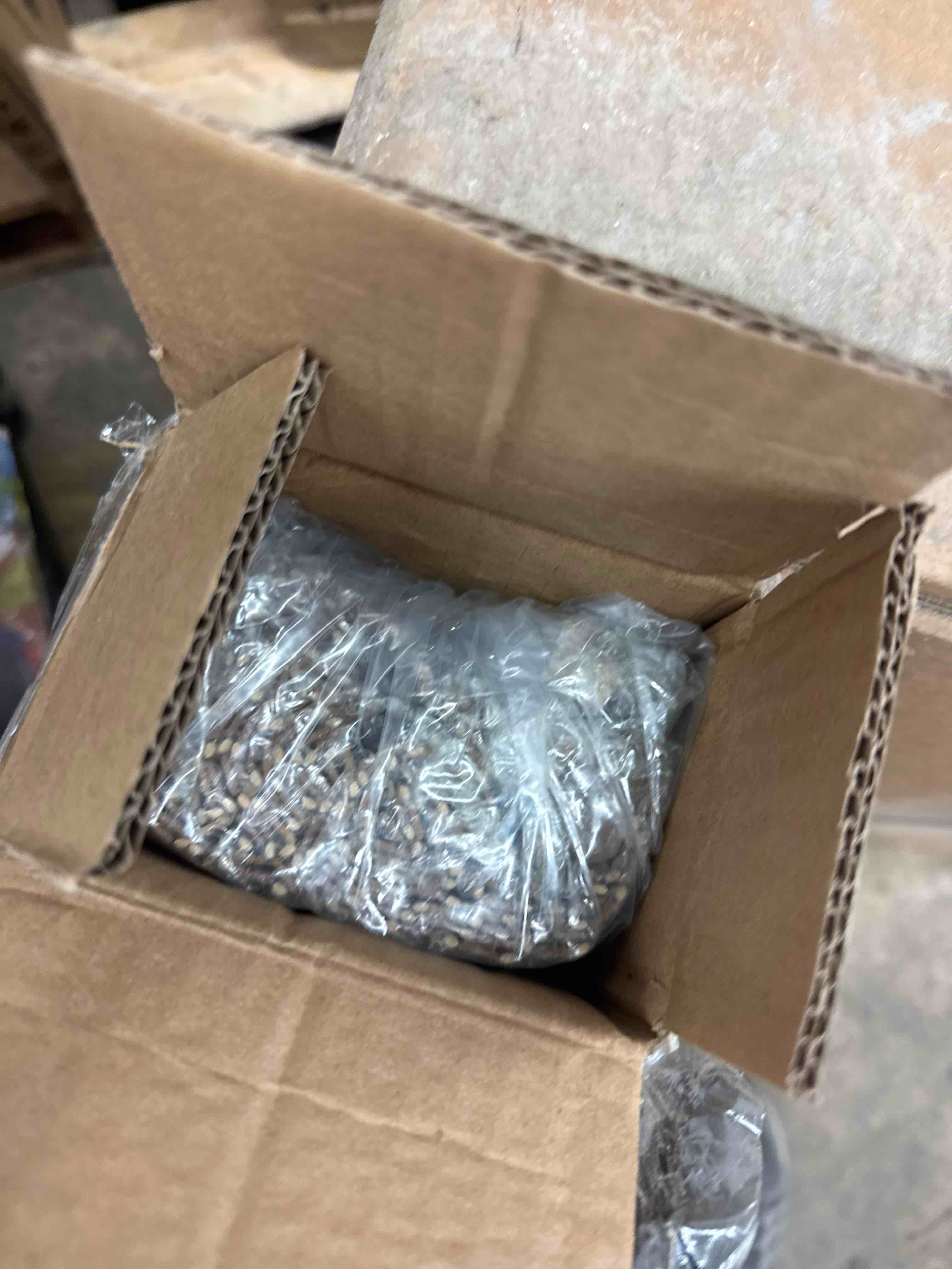 https://s3.amazonaws.com/lotting-images-prod/phillipi/GRA2175518_1746626321141.jpeg