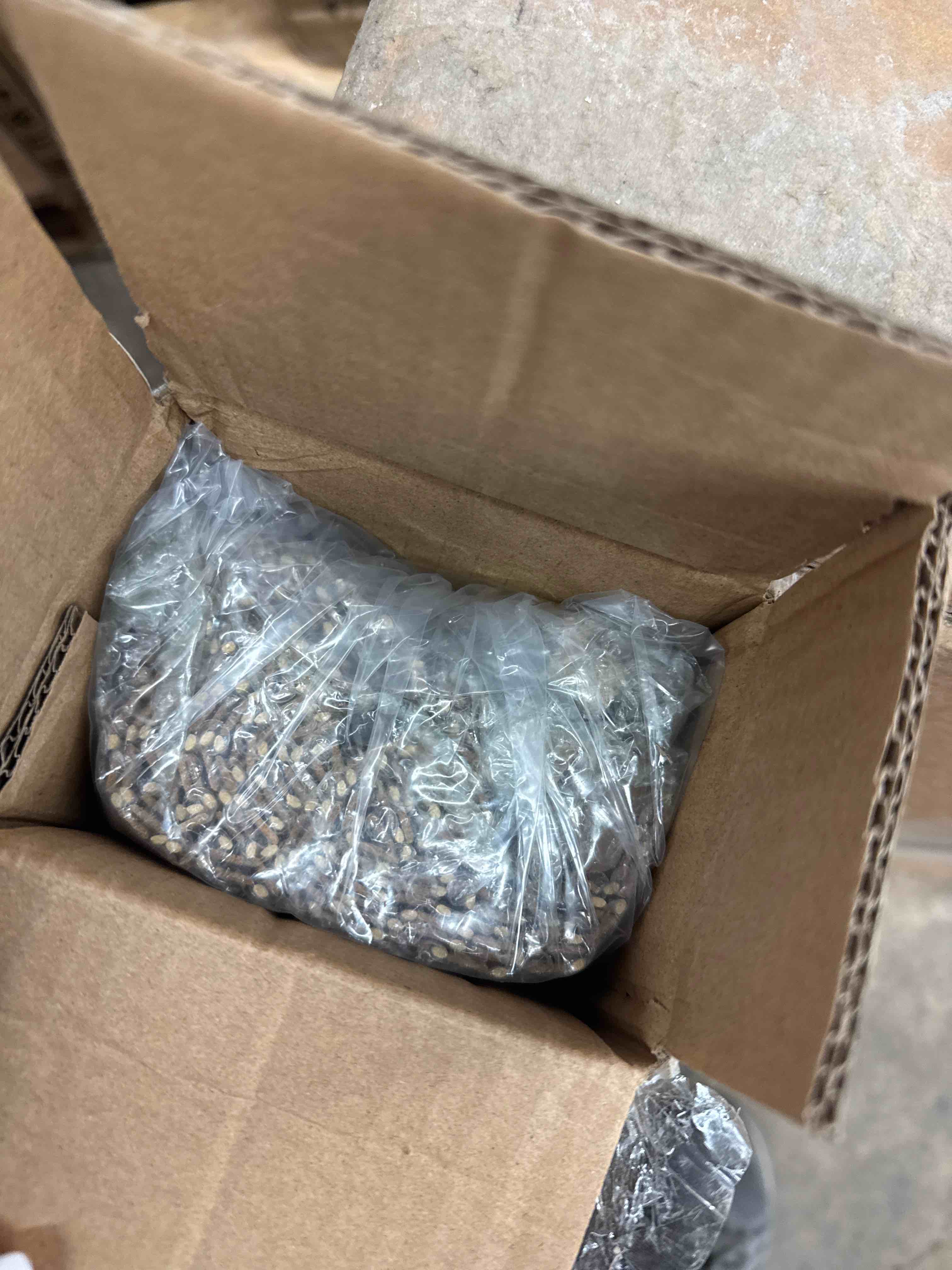 https://s3.amazonaws.com/lotting-images-prod/phillipi/GRA2175518_1746626323429.jpeg