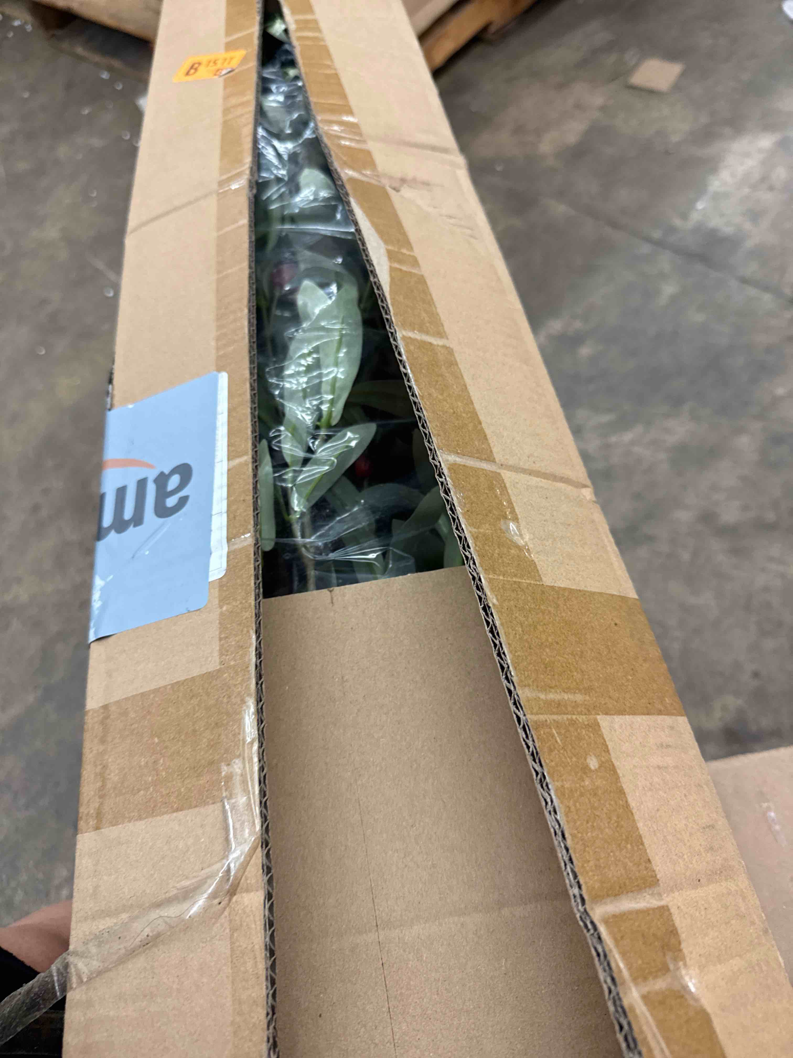 https://s3.amazonaws.com/lotting-images-prod/phillipi/GRA2175960_1747422267818.jpeg