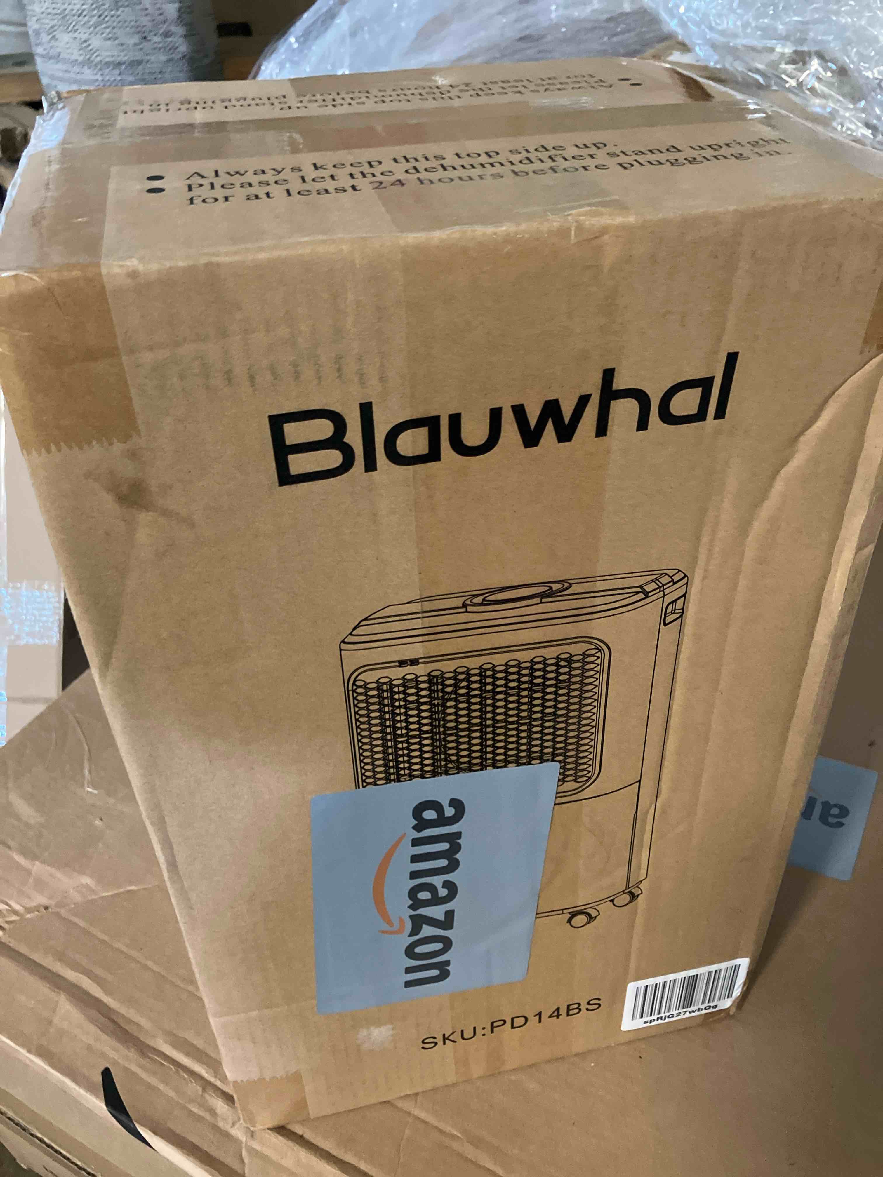 https://s3.amazonaws.com/lotting-images-prod/phillipi/GRA2227645_1745346240210.jpeg