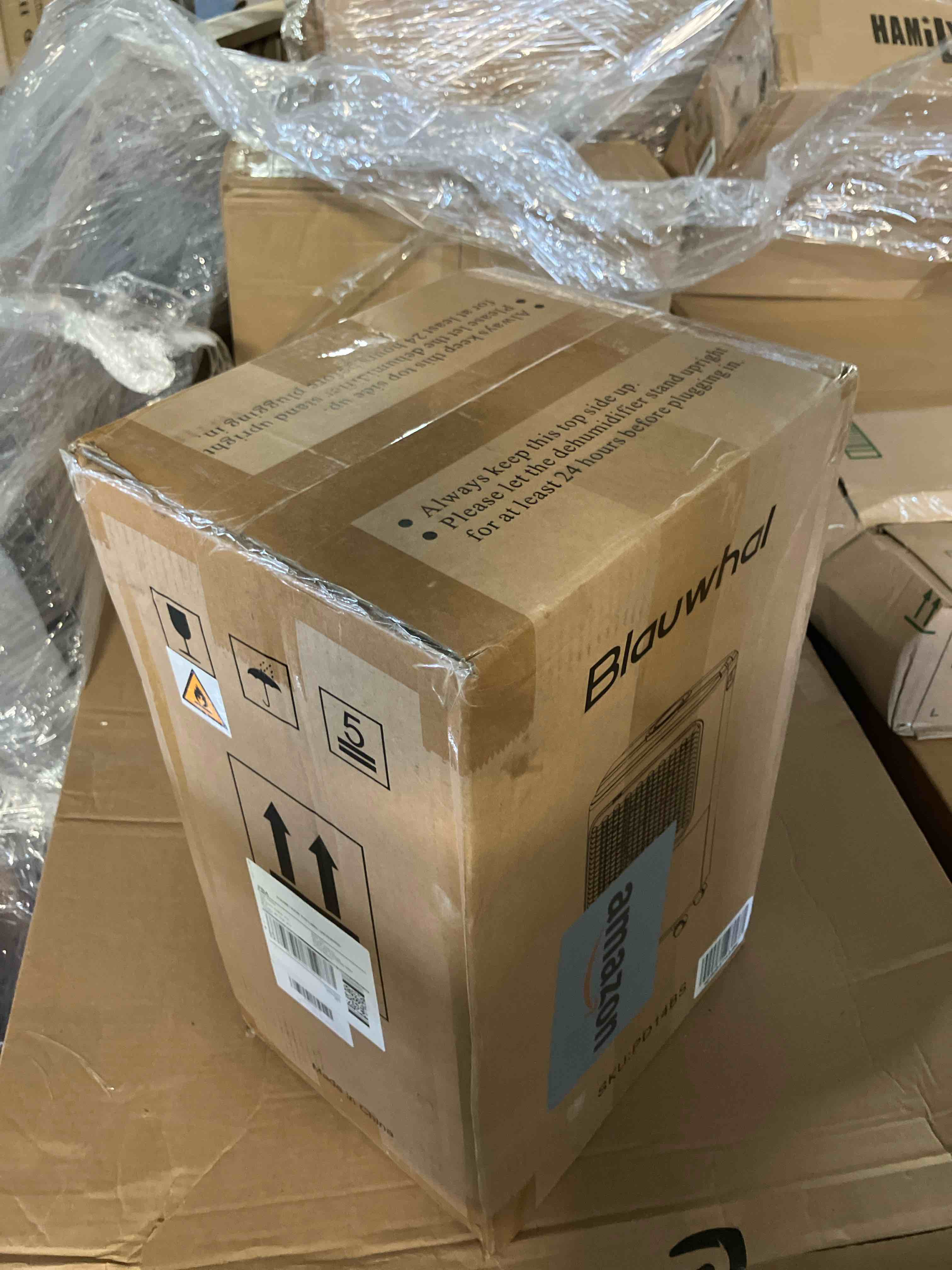 https://s3.amazonaws.com/lotting-images-prod/phillipi/GRA2227645_1745346243191.jpeg