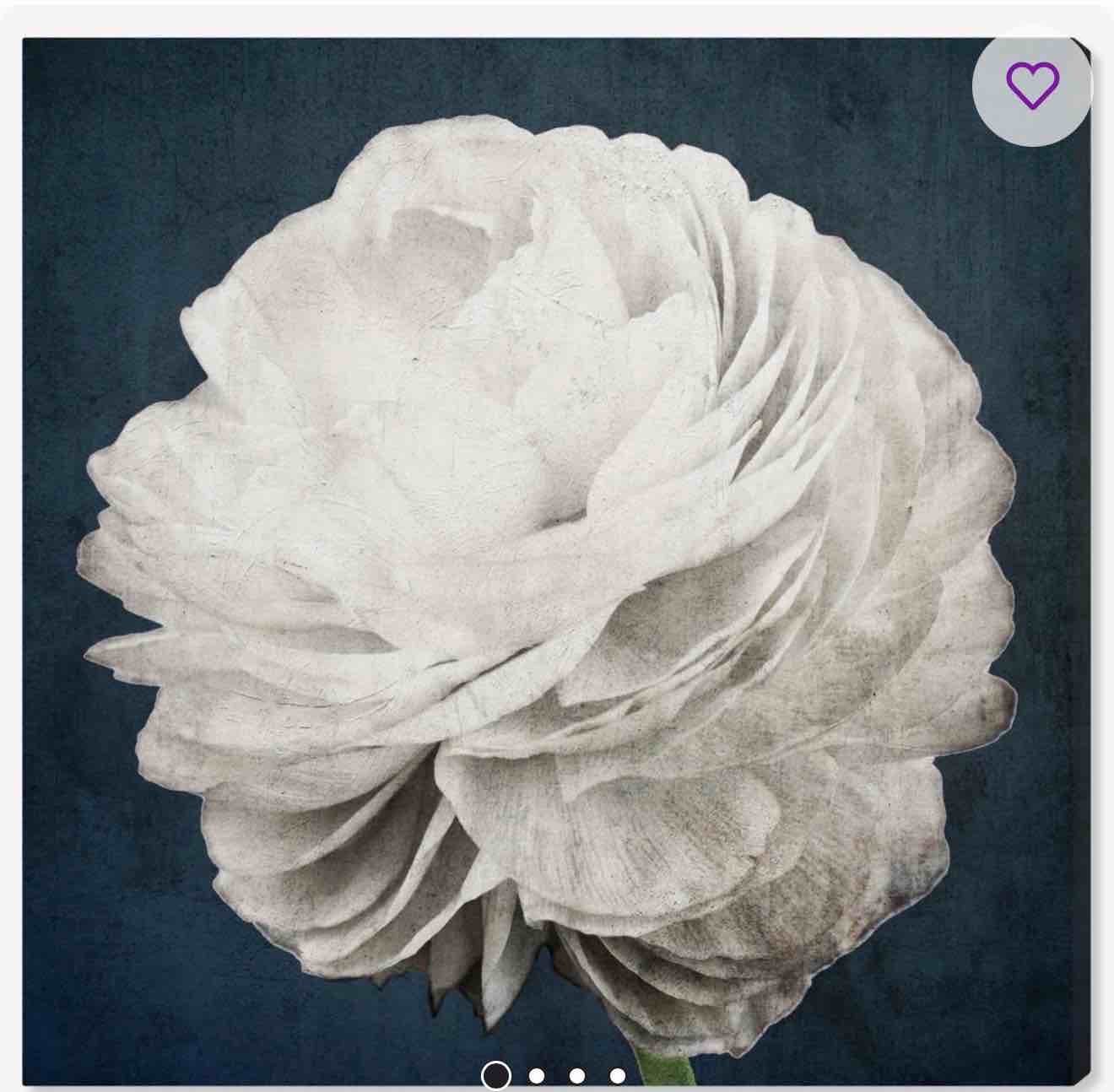 floral and botanical pretty view, m  