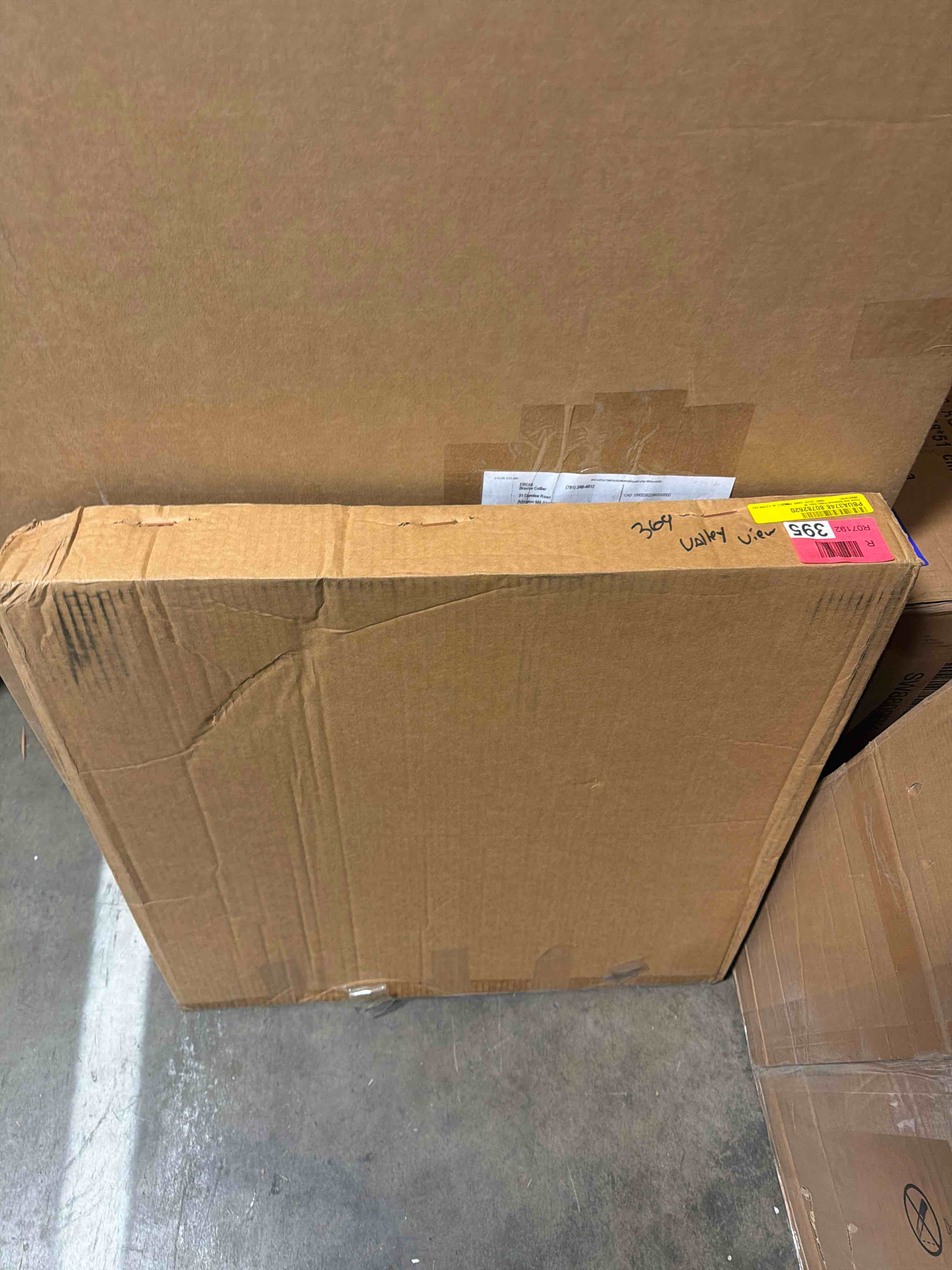 Condition photo showing New/Like New for floral and botanical pretty view, m  