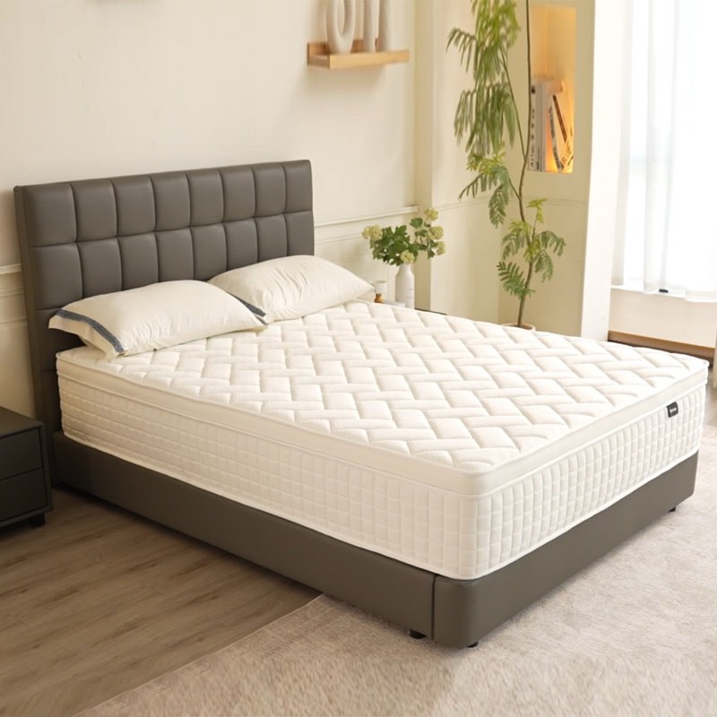 Wayfair Sleep 10'/12" Medium Memory Foan Pocket Queen 