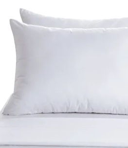 Claritin Ultimate Allergen Barrier Down Pillows 