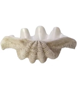 Decorative Bowl for Home Decor – Modern Bowl and Accent Bowl for Entryway Table, Coffee Table, or Vanity – Coastal-Inspired Display Bowl for Everyday Decorative Use, Ivory By Dovecove