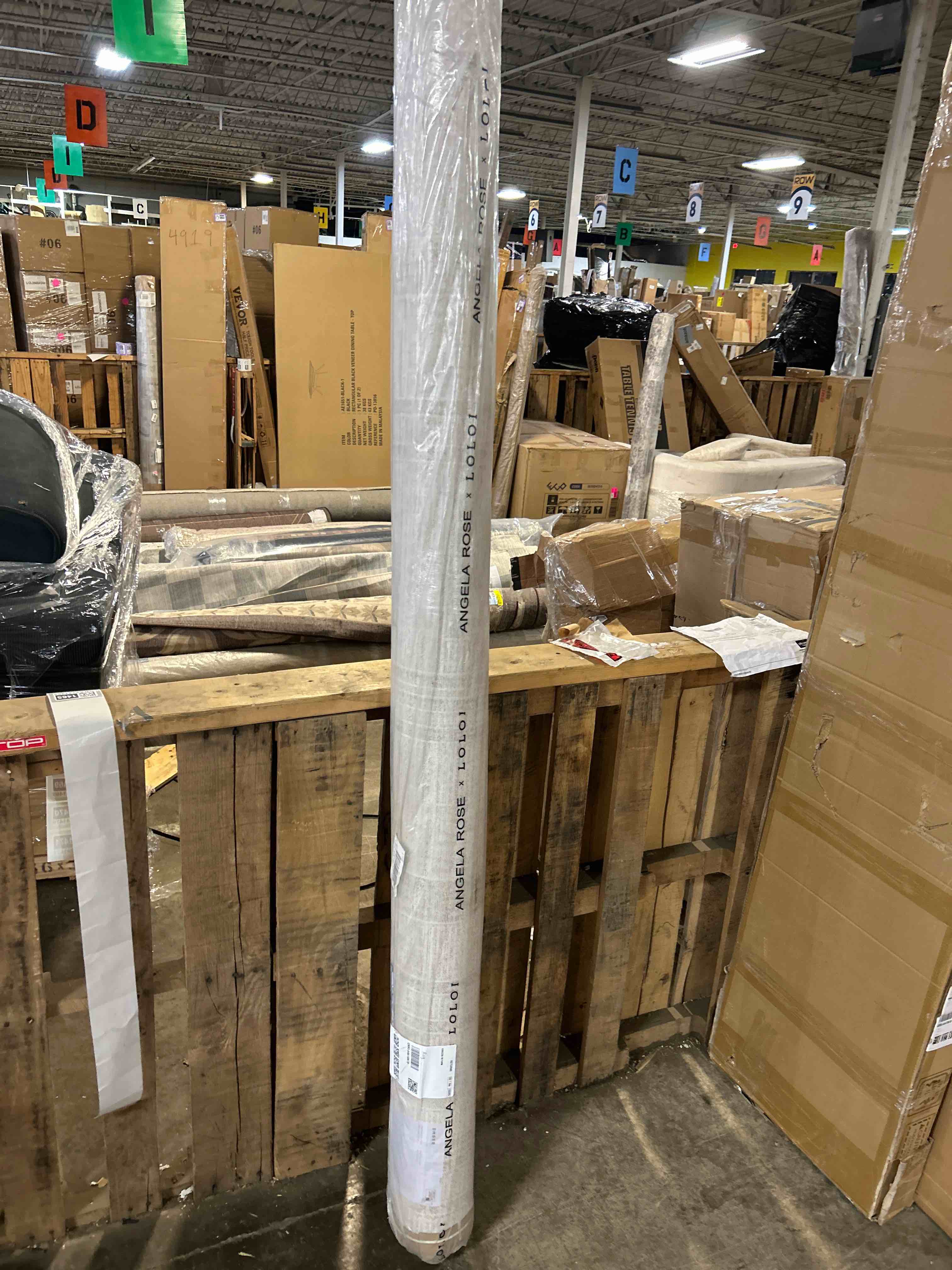 Condition photo showing New/Like New for Loloi Angela Rose Ember Collection EMB-04 Ivory / Multi 7'-10" x 10' Area Rug