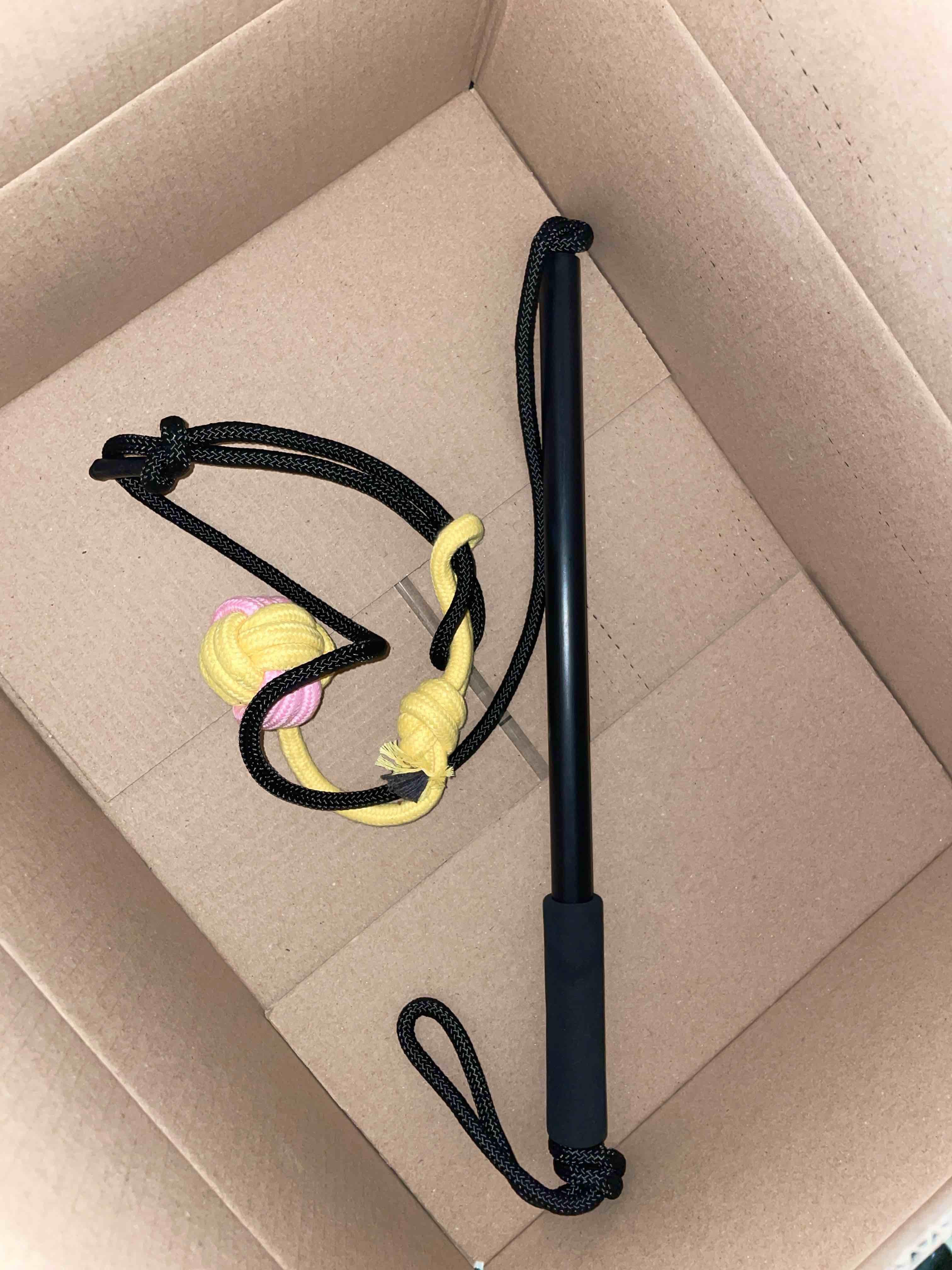 Condition photo showing Good Condition for (similar))Interactive Flirt Pole Toy for Dogs Chase and Tug of War,Durable Teaser Wand with Pet Fleece Rope Tether Lure Toy to Outdoor Exercise & Training for Small Medium Large Dogs (Blue/Red, POLE-35 inches)